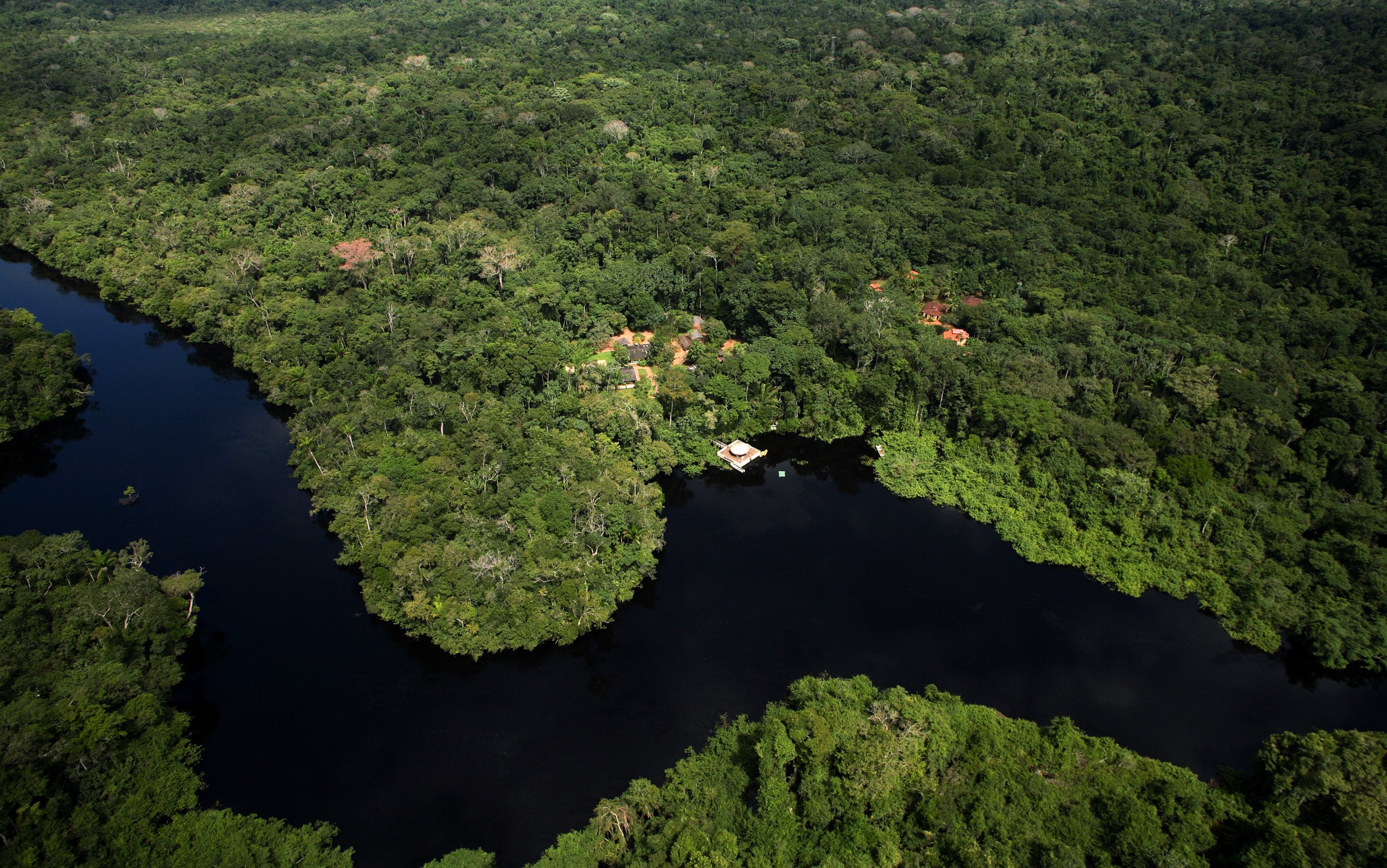 Джунгли бразилии. Бразилия тропические леса Сельва. Сельва амазонки, Южная Америка. Тропические леса амазонки в Бразилии. Амазонка Пантанал.
