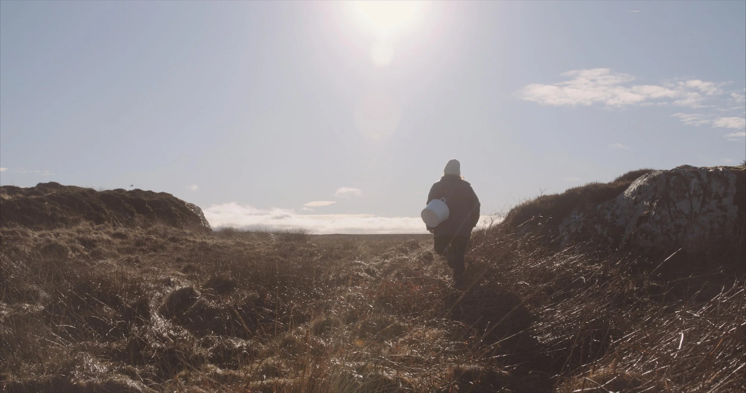 Sustainable Brand | Nature Destination | Experiential travel | Travel Guide | Gin Tasting | Foraging | Sustainable Business |  Islay Scotland | Travel Scotland | Botanist Gin | Bruichladdich Distillery | Room and Wild | Kate Hannett