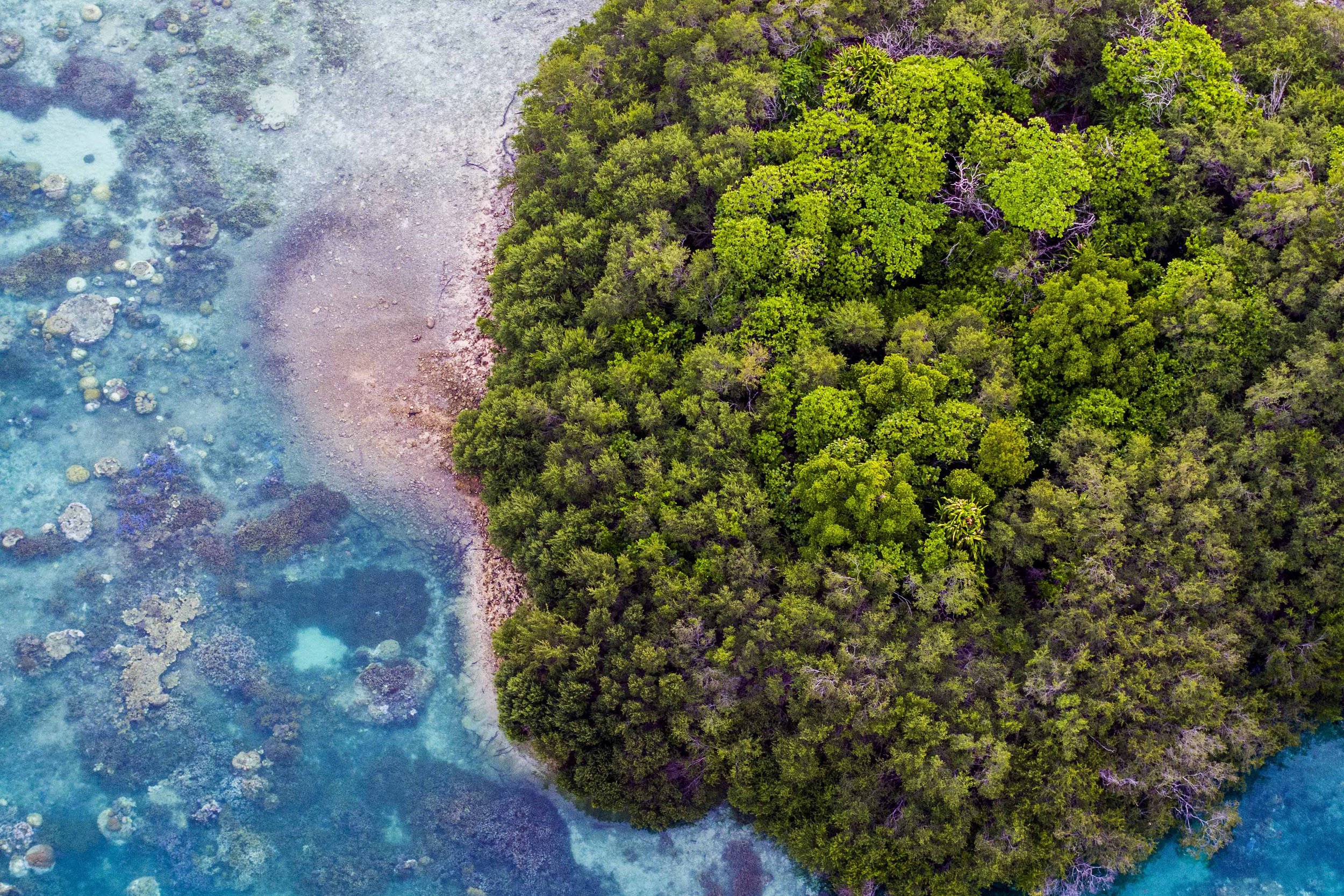 Private Island Resort | Bawah Reserve Indonesia