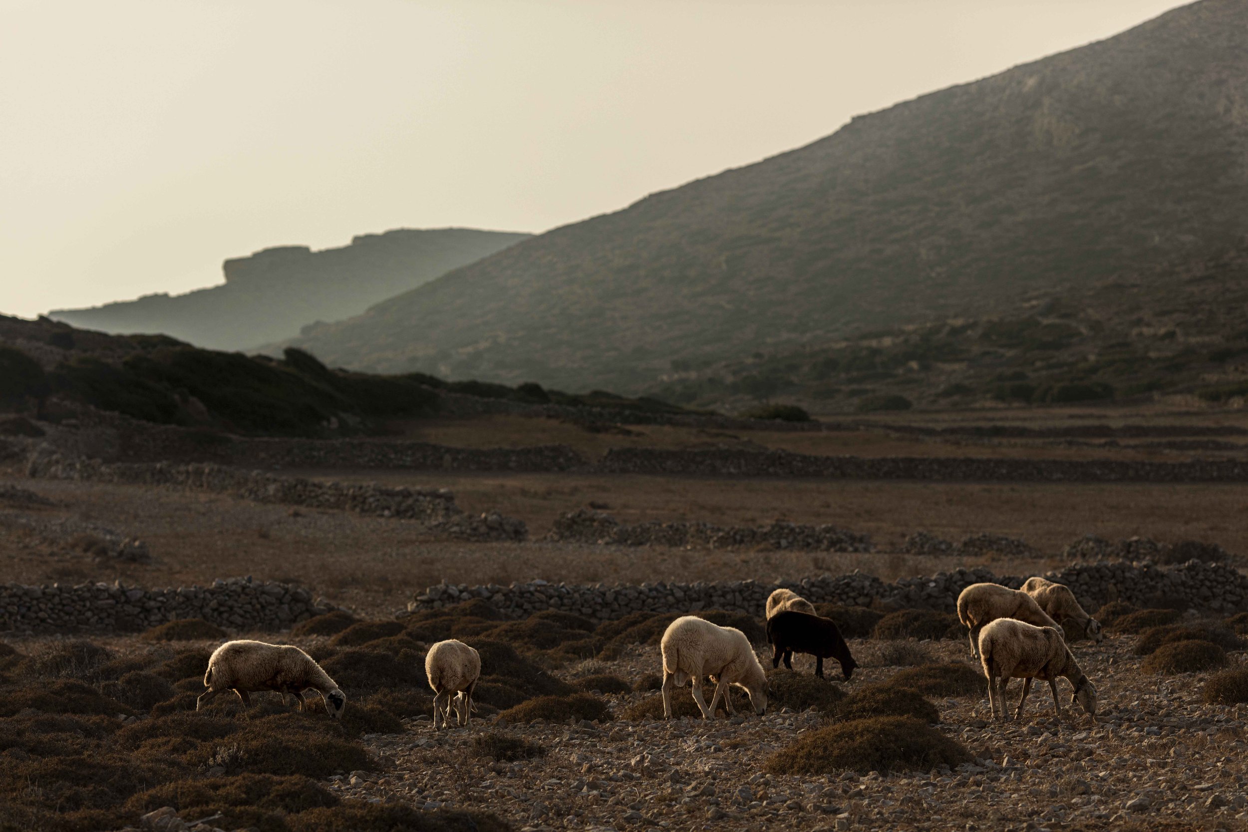 Greece Hotels | Gundari Folegandros