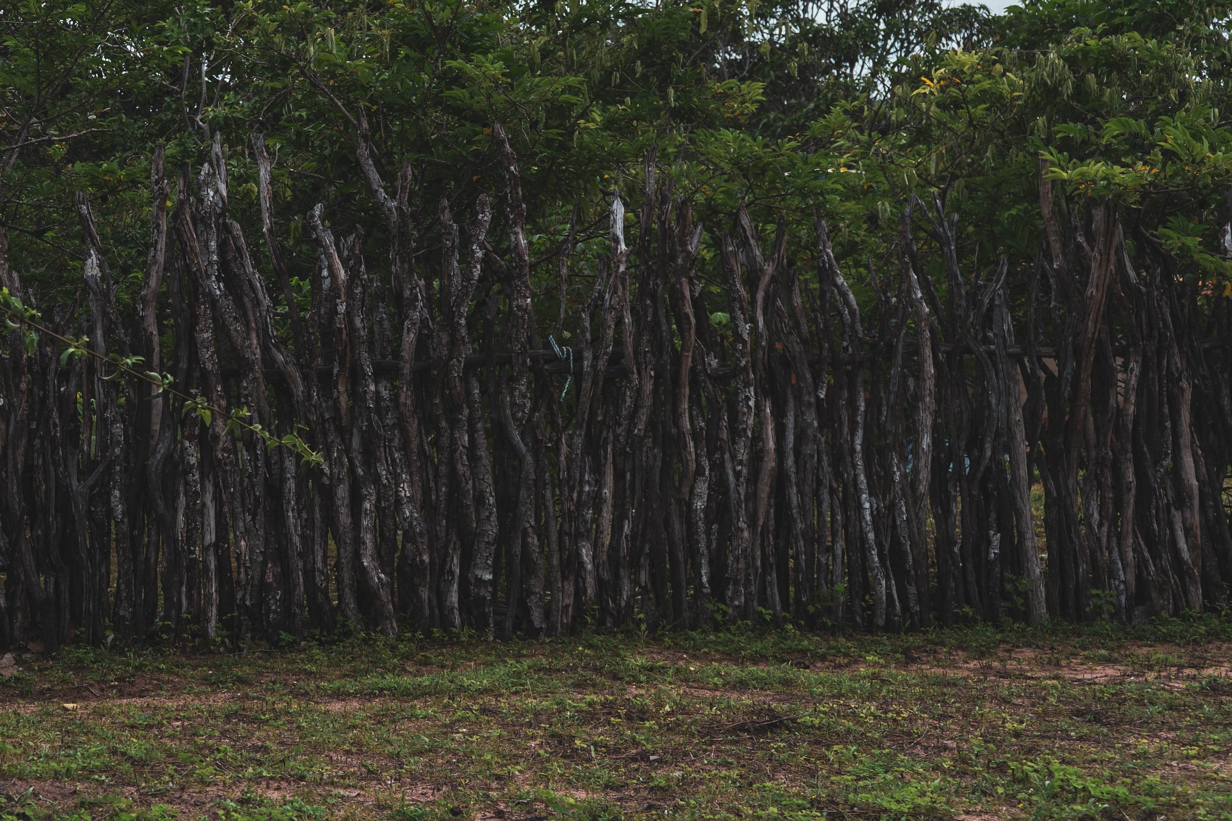 Eco Hotel Brazil | Fazenda Moreias