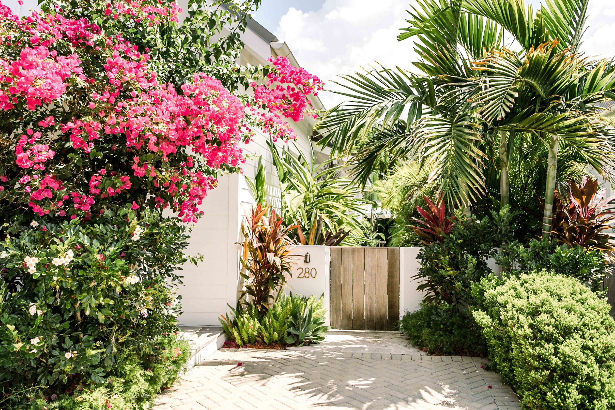 Cayman Islands Hotels | Botanica Cottages