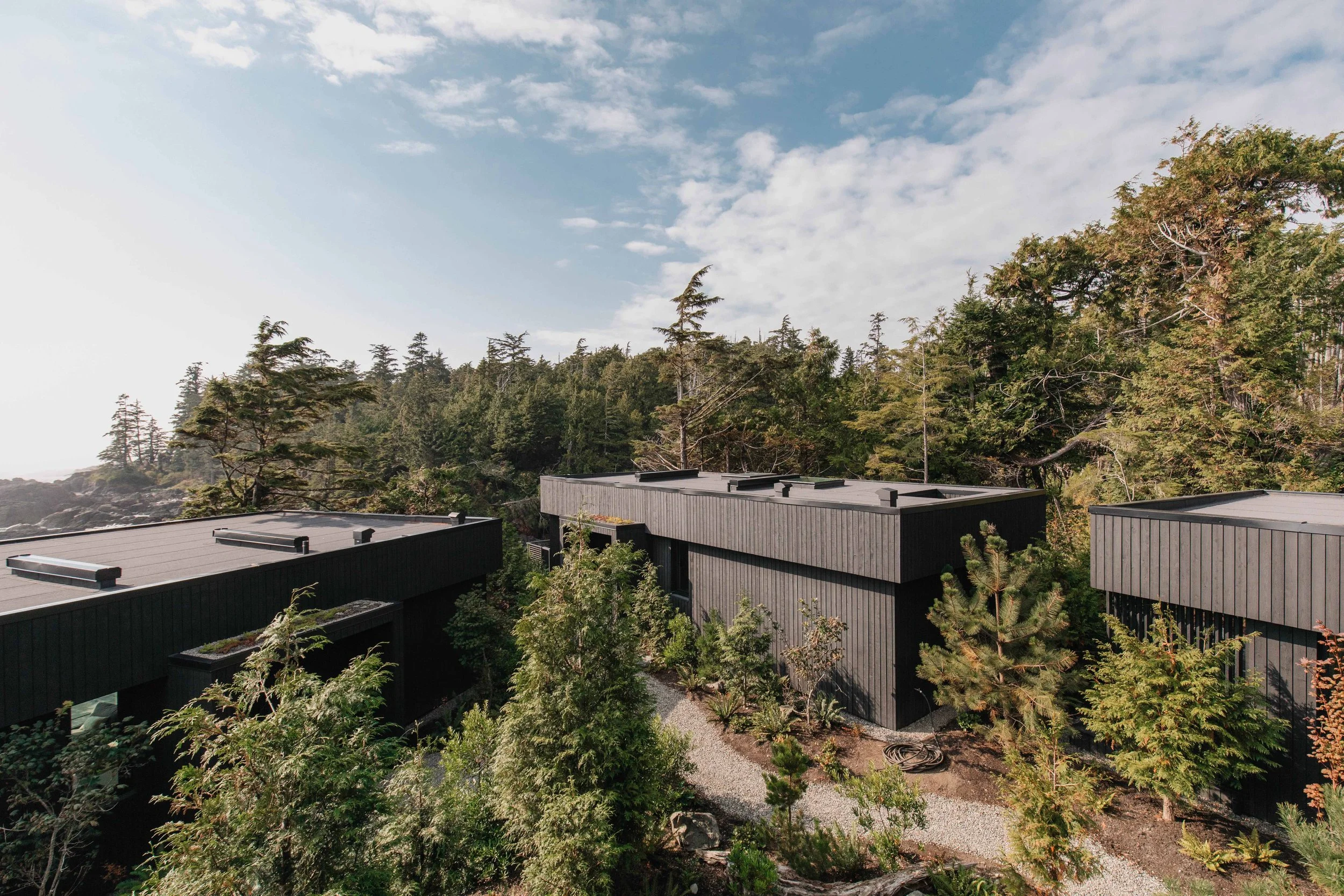 The Nami Project Room Wild