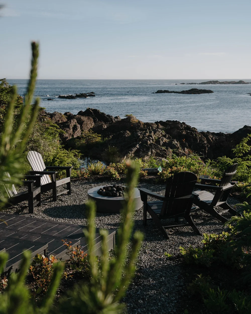 The Nami Project Room Wild