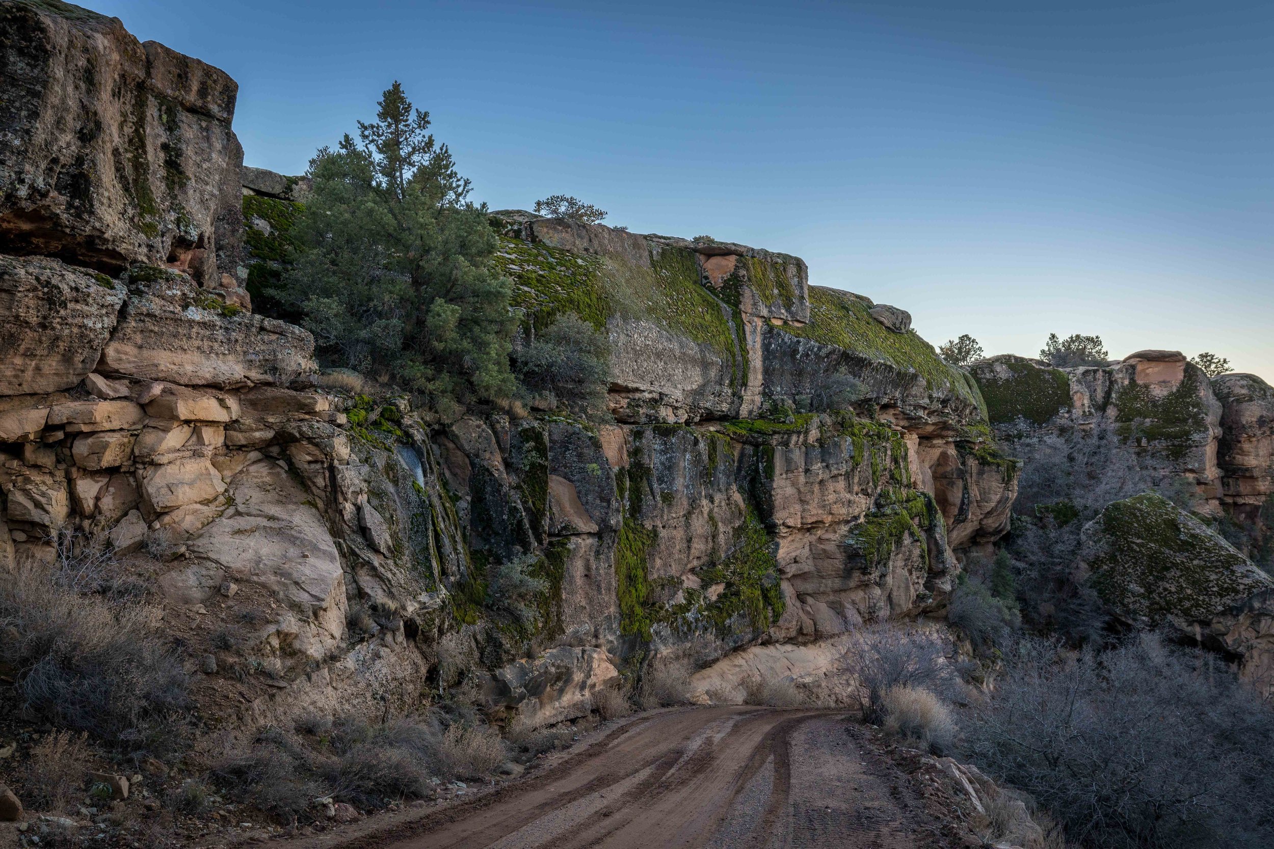 Zion National Park Hotels | Luxury Glamping | Nature Hotels | Landscape Hotels | Room and Wild | Utah hotels | Open Sky Zion