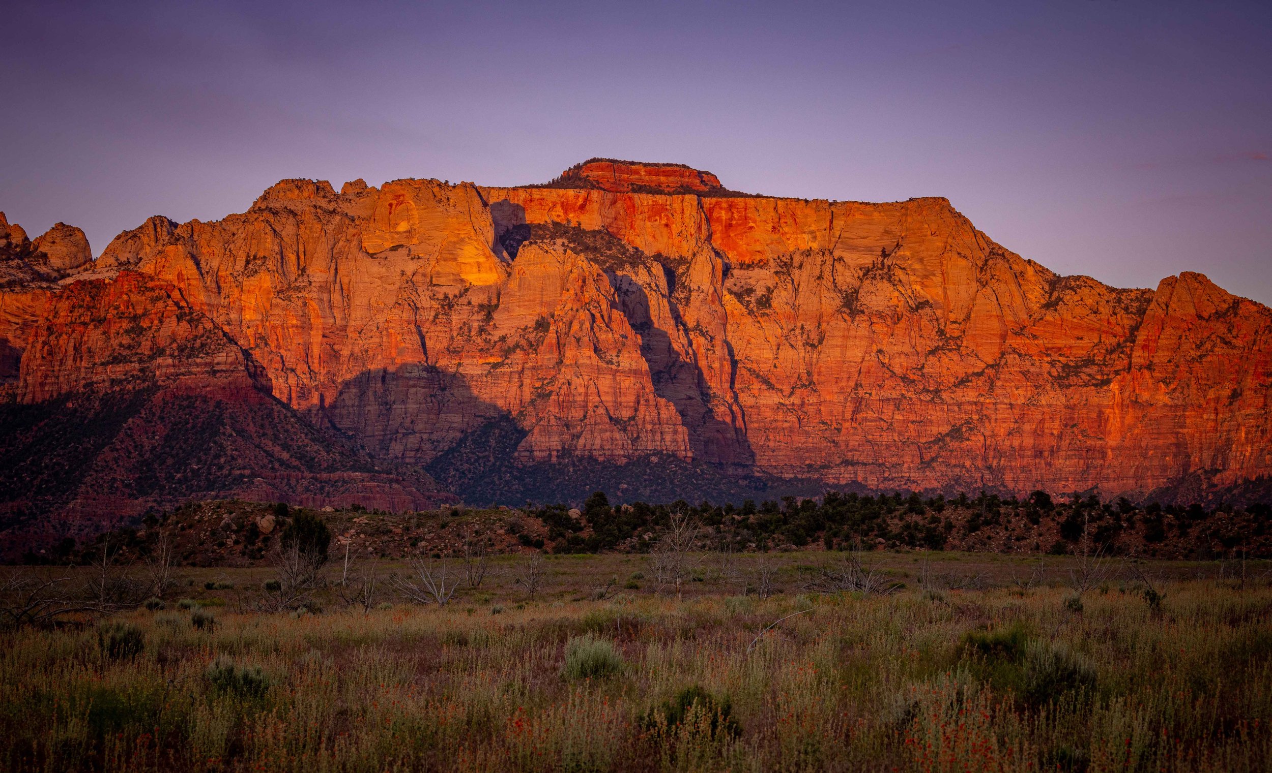 Zion National Park Hotels | Luxury Glamping | Nature Hotels | Landscape Hotels | Room and Wild | Utah hotels | Open Sky Zion