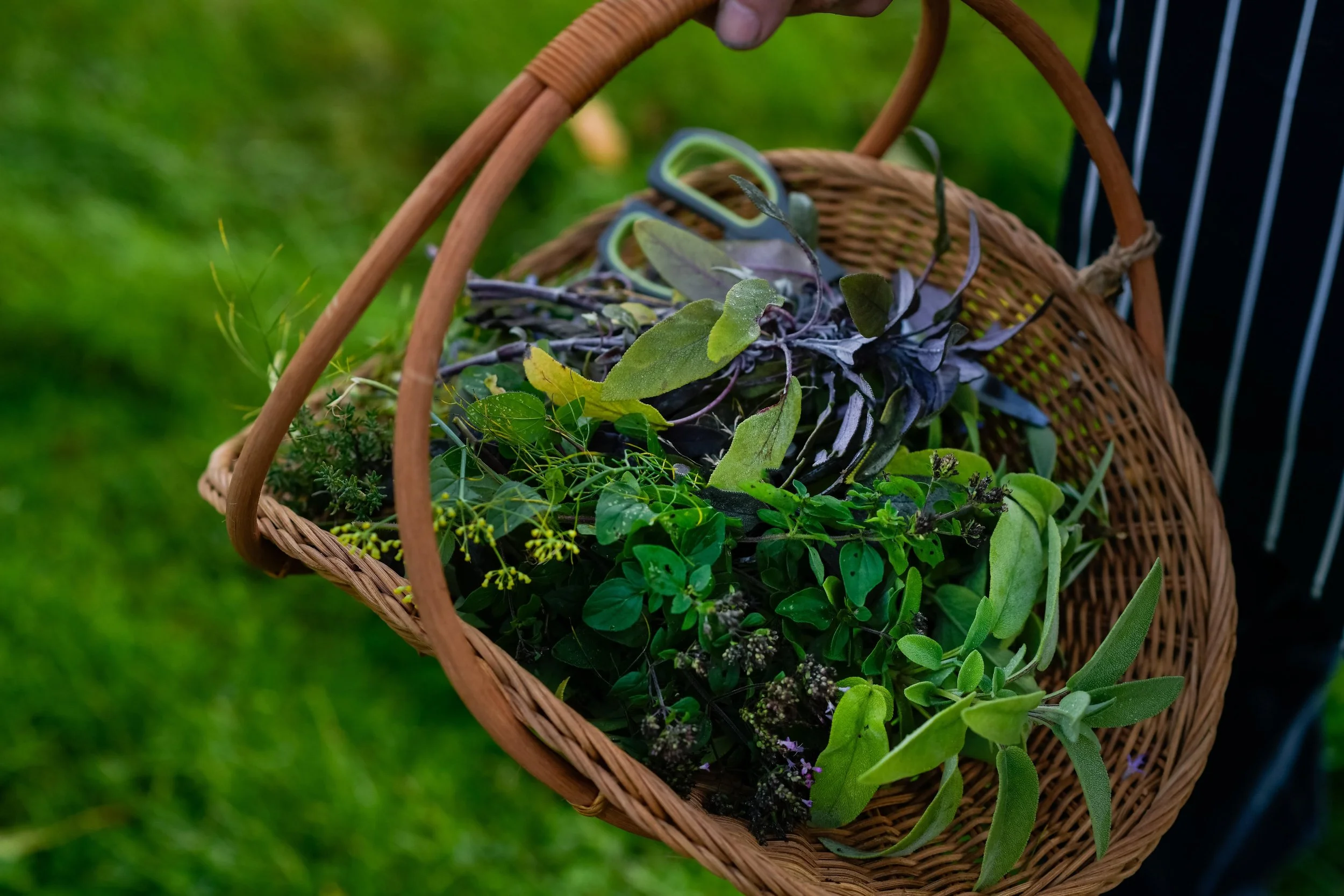 Mount Congreve Gardens | Garden Hotels | Ireland Hotels | Nature Hotels | Landscape Hotels | Waterford hotels | Mount Congreve Gardens and Country Estate