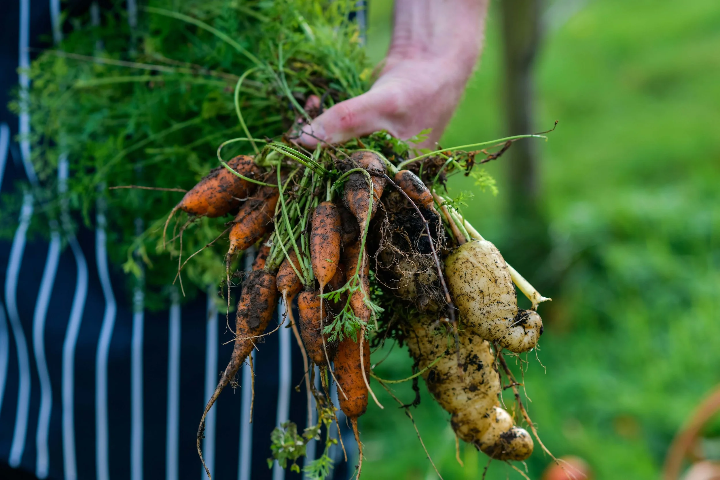 Mount Congreve Gardens | Garden Hotels | Ireland Hotels | Nature Hotels | Landscape Hotels | Waterford hotels | Mount Congreve Gardens and Country Estate