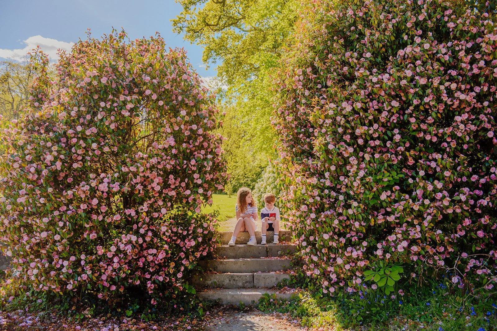 Mount Congreve Gardens | Garden Hotels | Ireland Hotels | Nature Hotels | Landscape Hotels | Waterford hotels | Mount Congreve Gardens and Country Estate