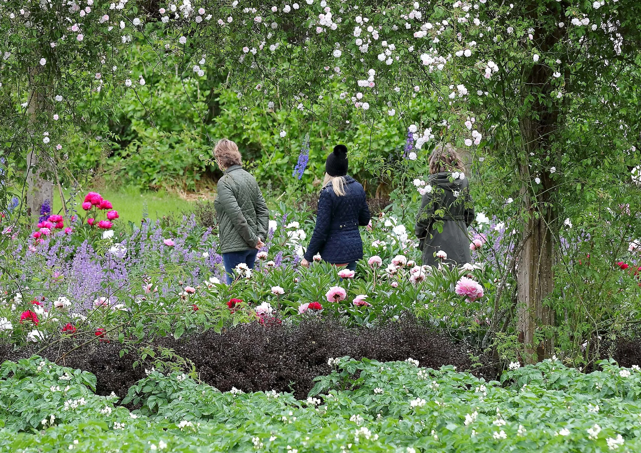 Mount Congreve Gardens | Garden Hotels | Ireland Hotels | Nature Hotels | Landscape Hotels | Waterford hotels | Mount Congreve Gardens and Country Estate