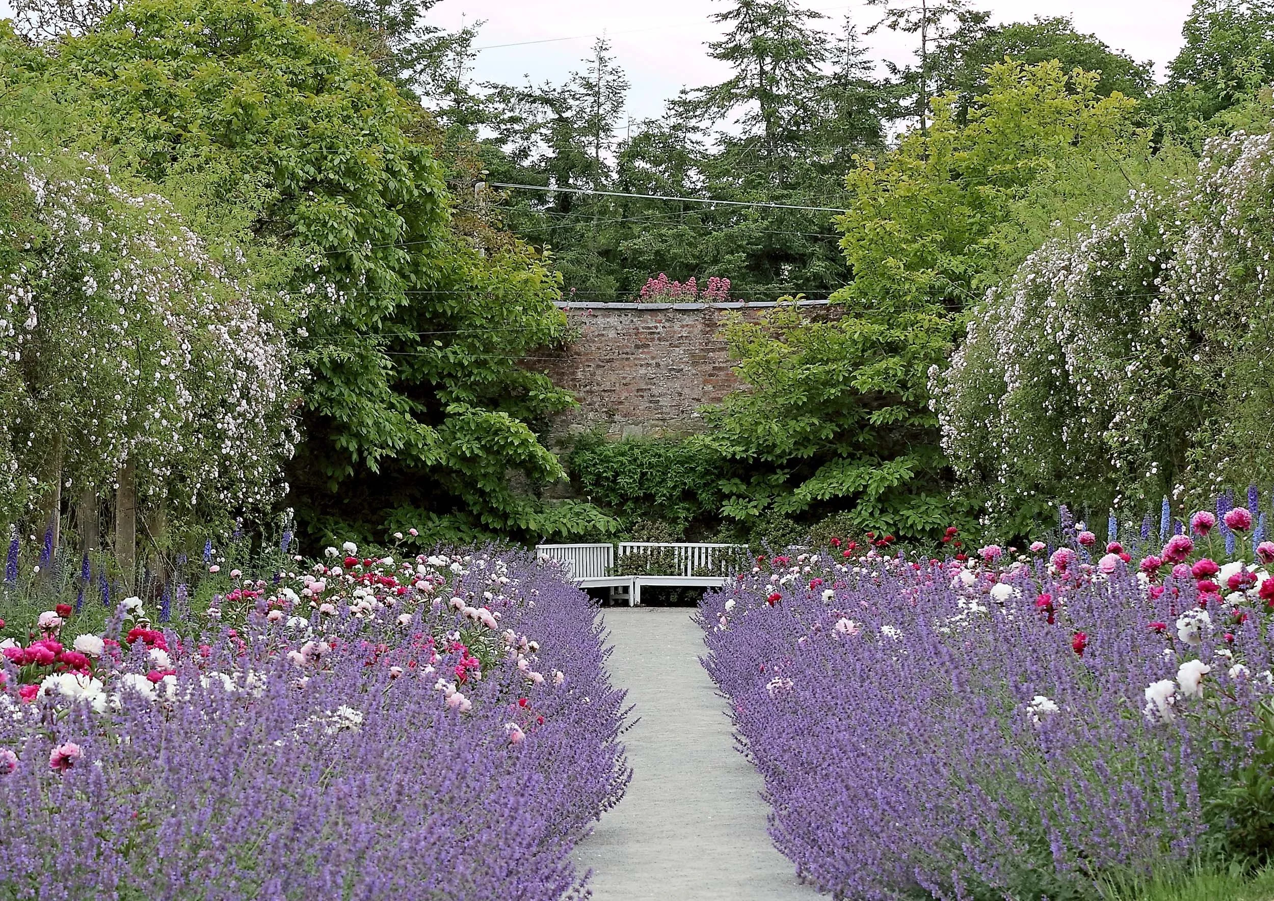 Mount Congreve Gardens | Garden Hotels | Ireland Hotels | Nature Hotels | Landscape Hotels | Waterford hotels | Mount Congreve Gardens and Country Estate
