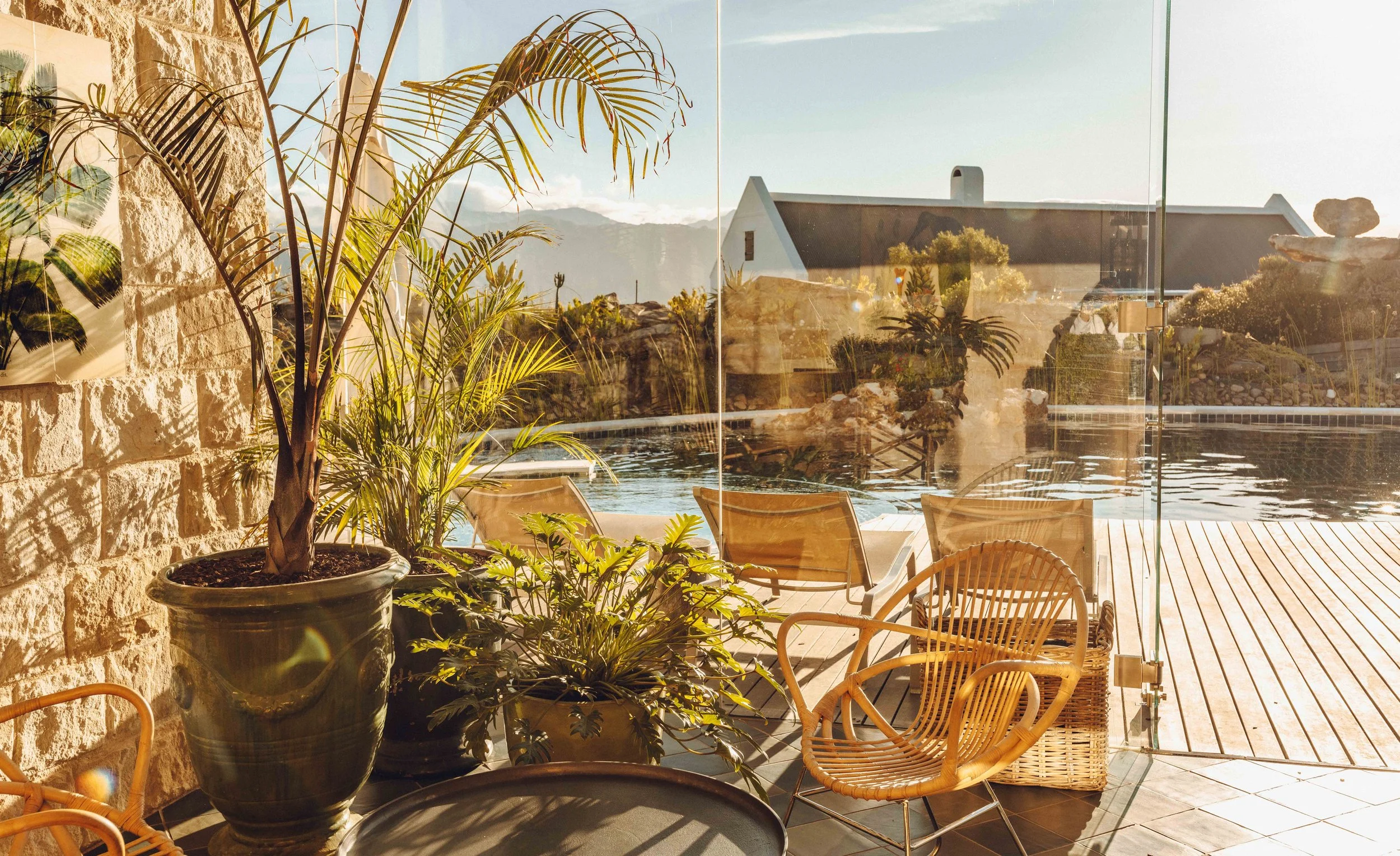 South Africa Hotel | Wine Hotel | Farm to table Hotel | Landscape Hotel | Babel Restaurant | Nature Hotel | eco hotel | Babylonstoren