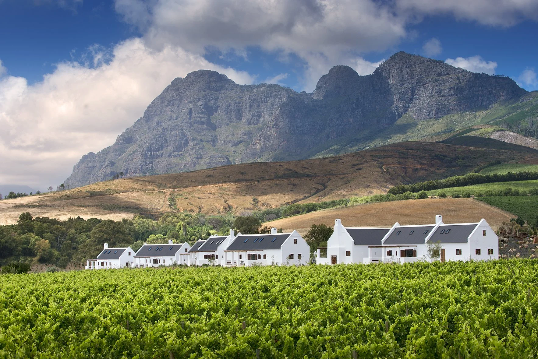 South Africa Hotel | Wine Hotel | Farm to table Hotel | Landscape Hotel | Babel Restaurant | Nature Hotel | eco hotel | Babylonstoren
