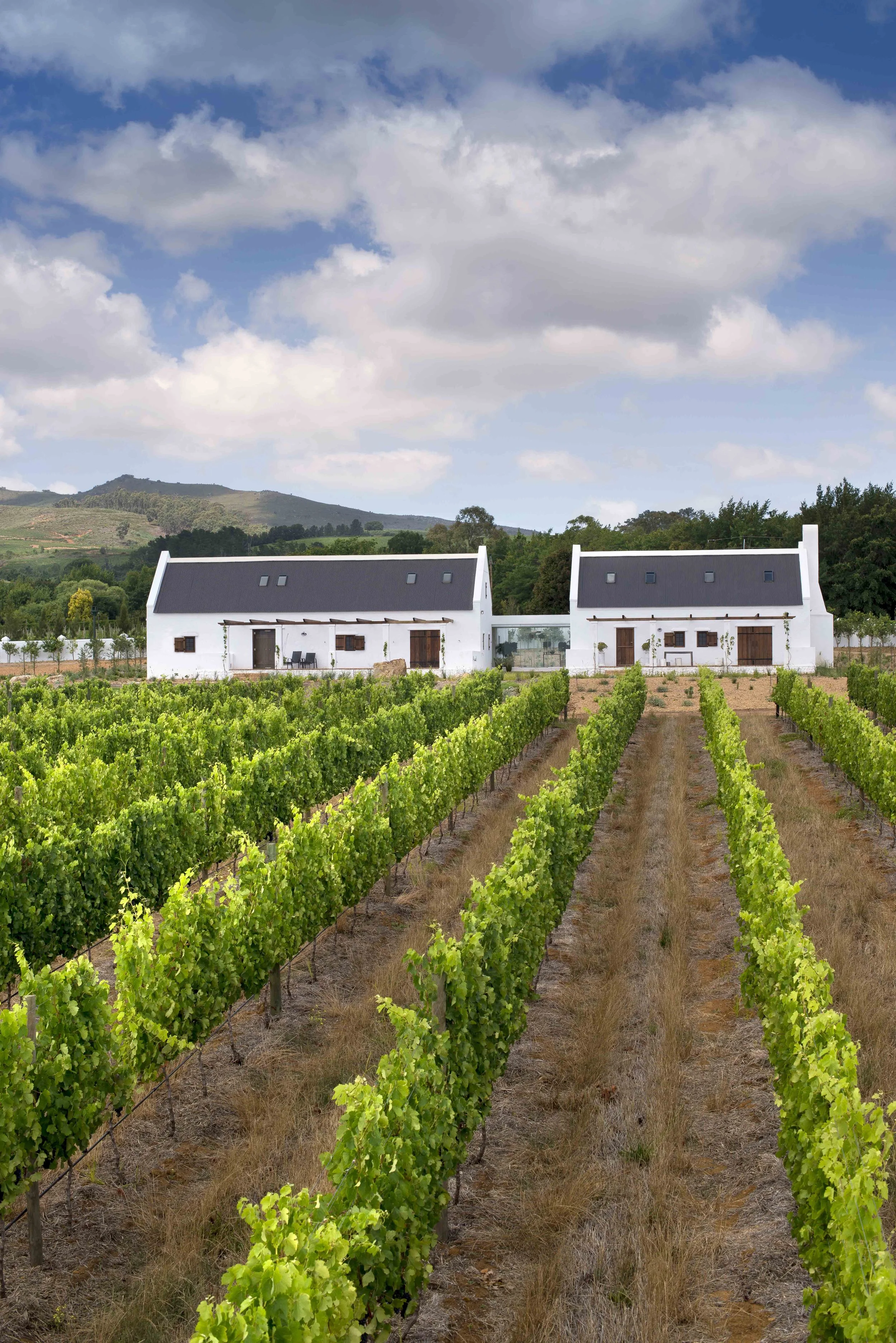 South Africa Hotel | Wine Hotel | Farm to table Hotel | Landscape Hotel | Babel Restaurant | Nature Hotel | eco hotel | Babylonstoren