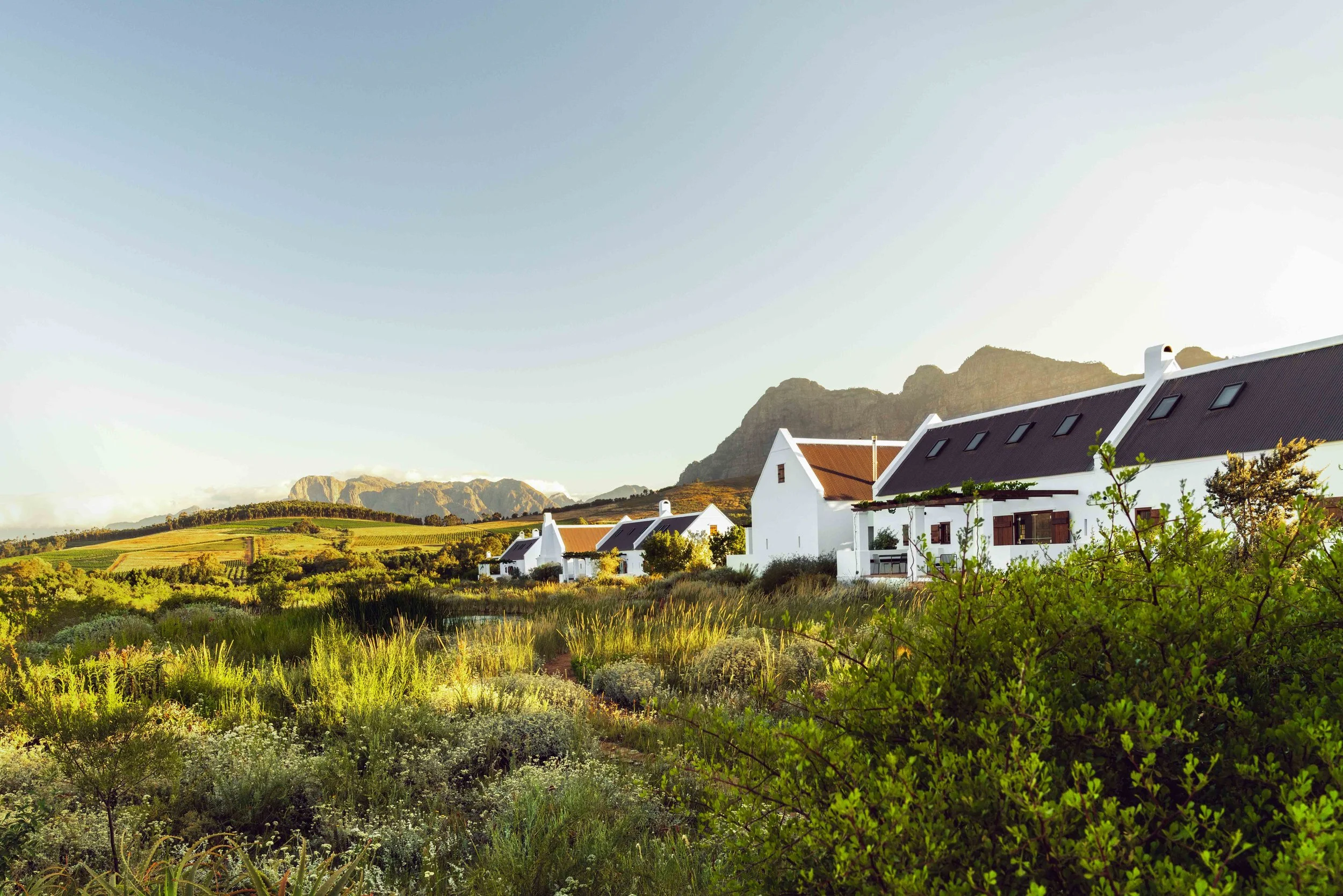 South Africa Hotel | Wine Hotel | Farm to table Hotel | Landscape Hotel | Babel Restaurant | Nature Hotel | eco hotel | Babylonstoren