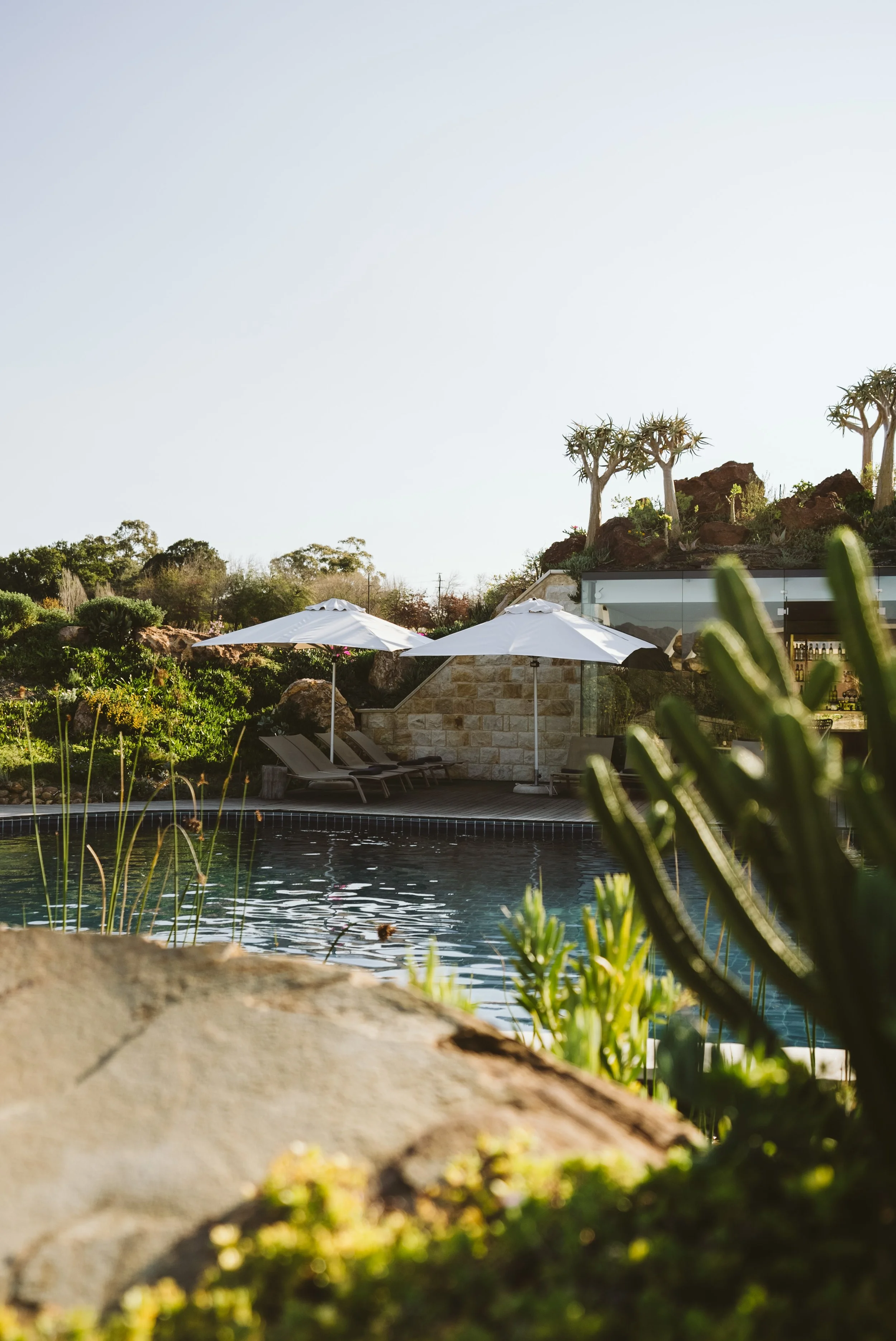 South Africa Hotel | Wine Hotel | Farm to table Hotel | Landscape Hotel | Babel Restaurant | Nature Hotel | eco hotel | Babylonstoren