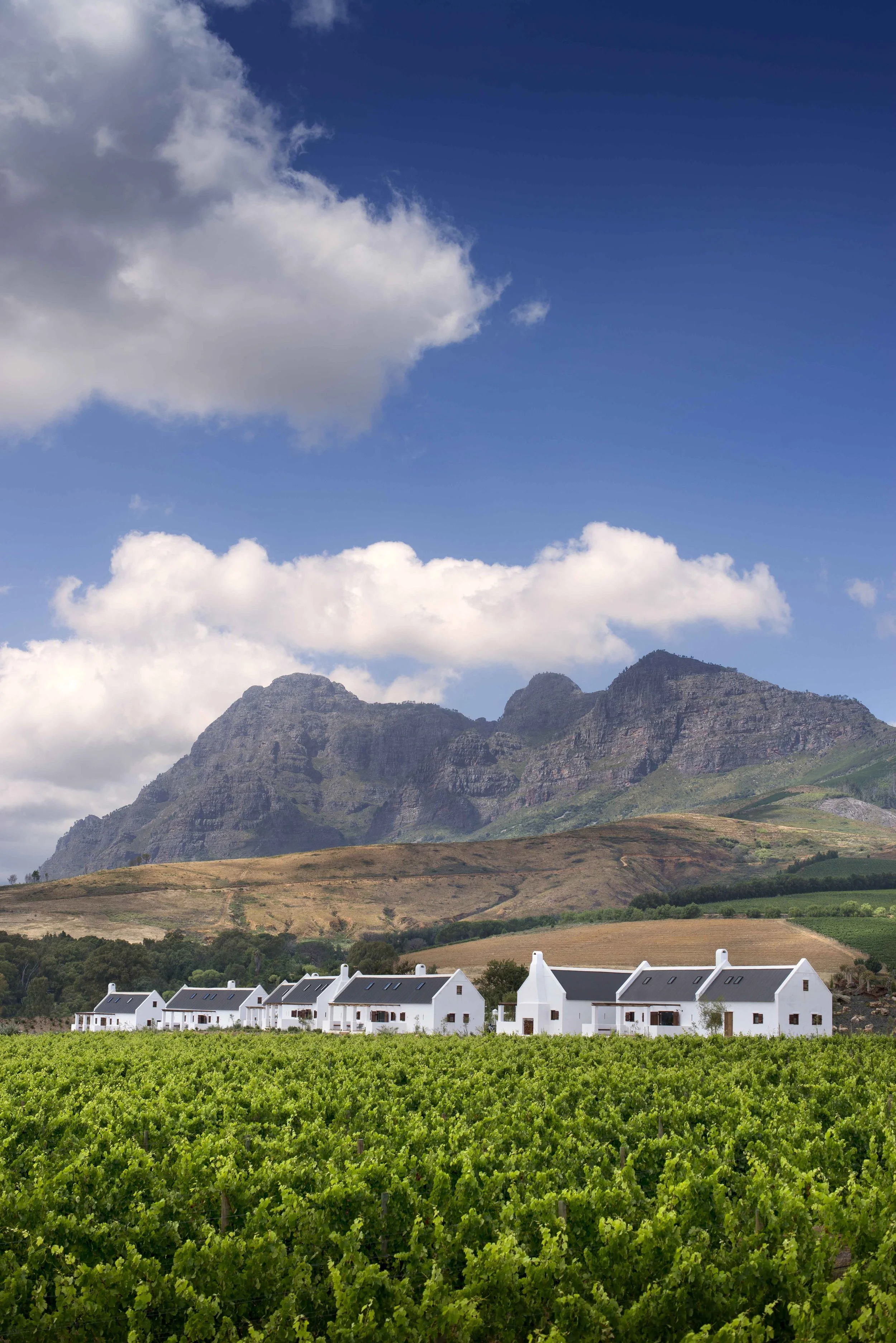 South Africa Hotel | Wine Hotel | Farm to table Hotel | Landscape Hotel | Babel Restaurant | Nature Hotel | eco hotel | Babylonstoren