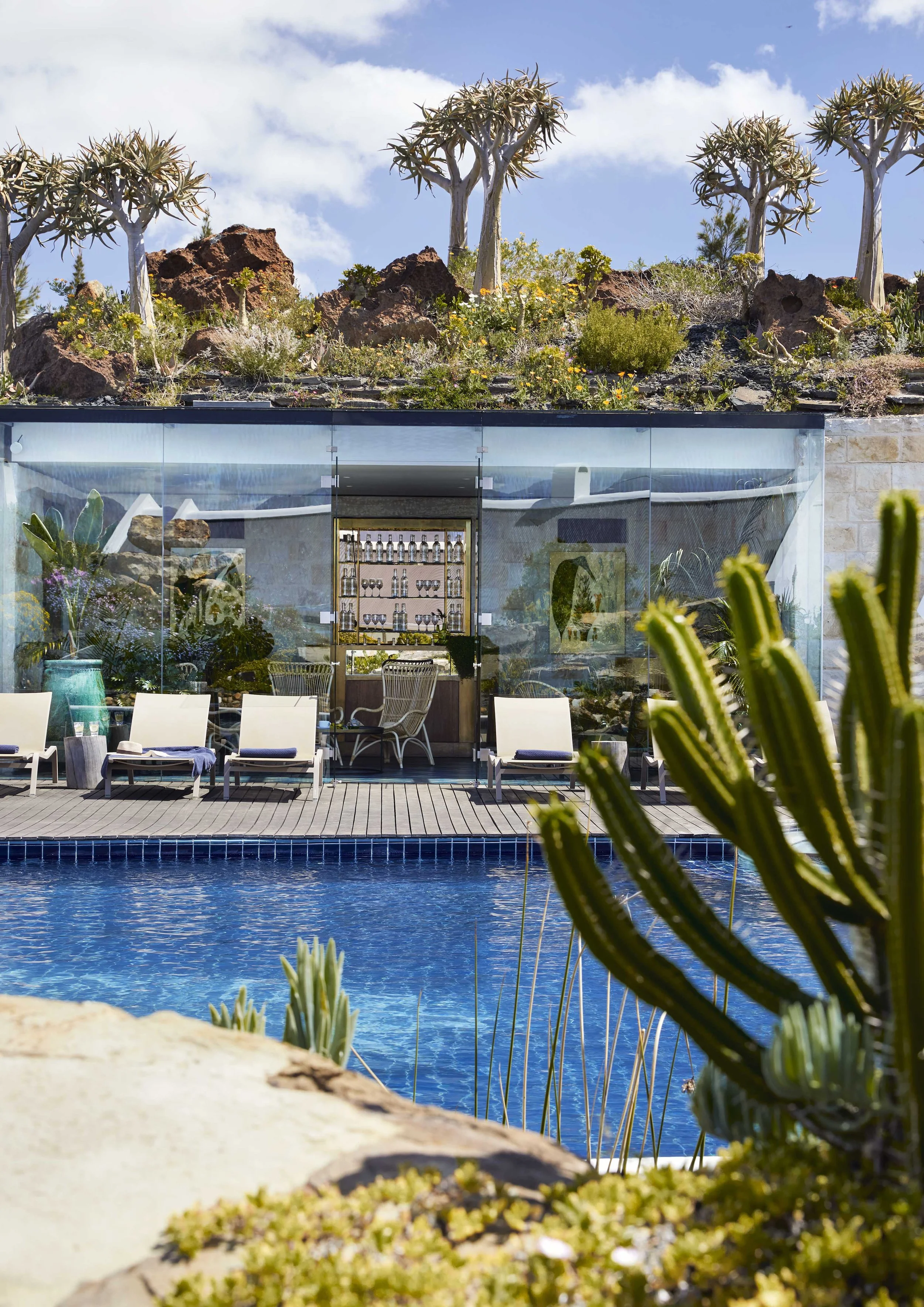 South Africa Hotel | Wine Hotel | Farm to table Hotel | Landscape Hotel | Babel Restaurant | Nature Hotel | eco hotel | Babylonstoren