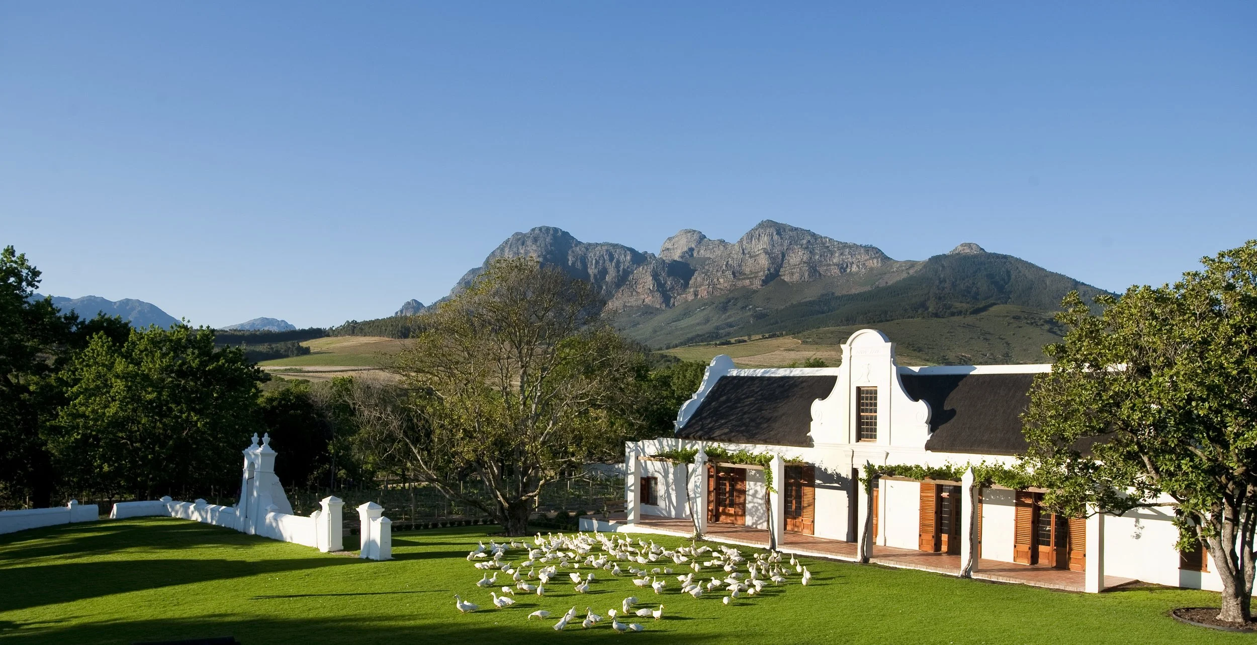 South Africa Hotel | Wine Hotel | Farm to table Hotel | Landscape Hotel | Babel Restaurant | Nature Hotel | eco hotel | Babylonstoren