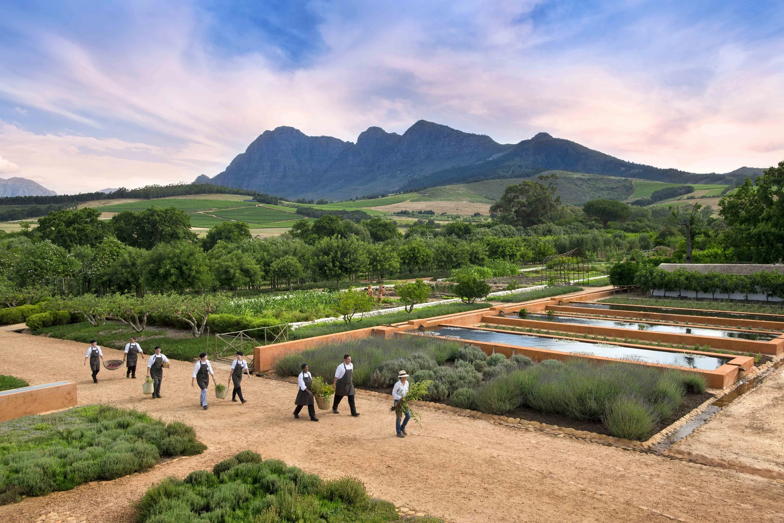 South Africa Hotel | Wine Hotel | Farm to table Hotel | Landscape Hotel | Babel Restaurant | Nature Hotel | eco hotel | Babylonstoren