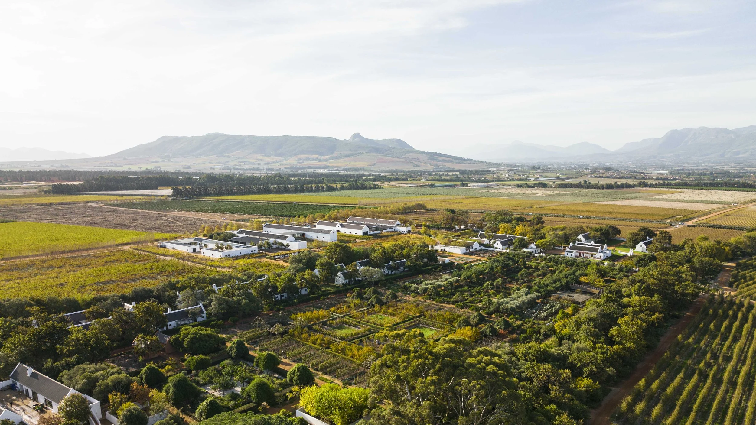 South Africa Hotel | Wine Hotel | Farm to table Hotel | Landscape Hotel | Babel Restaurant | Nature Hotel | eco hotel | Babylonstoren