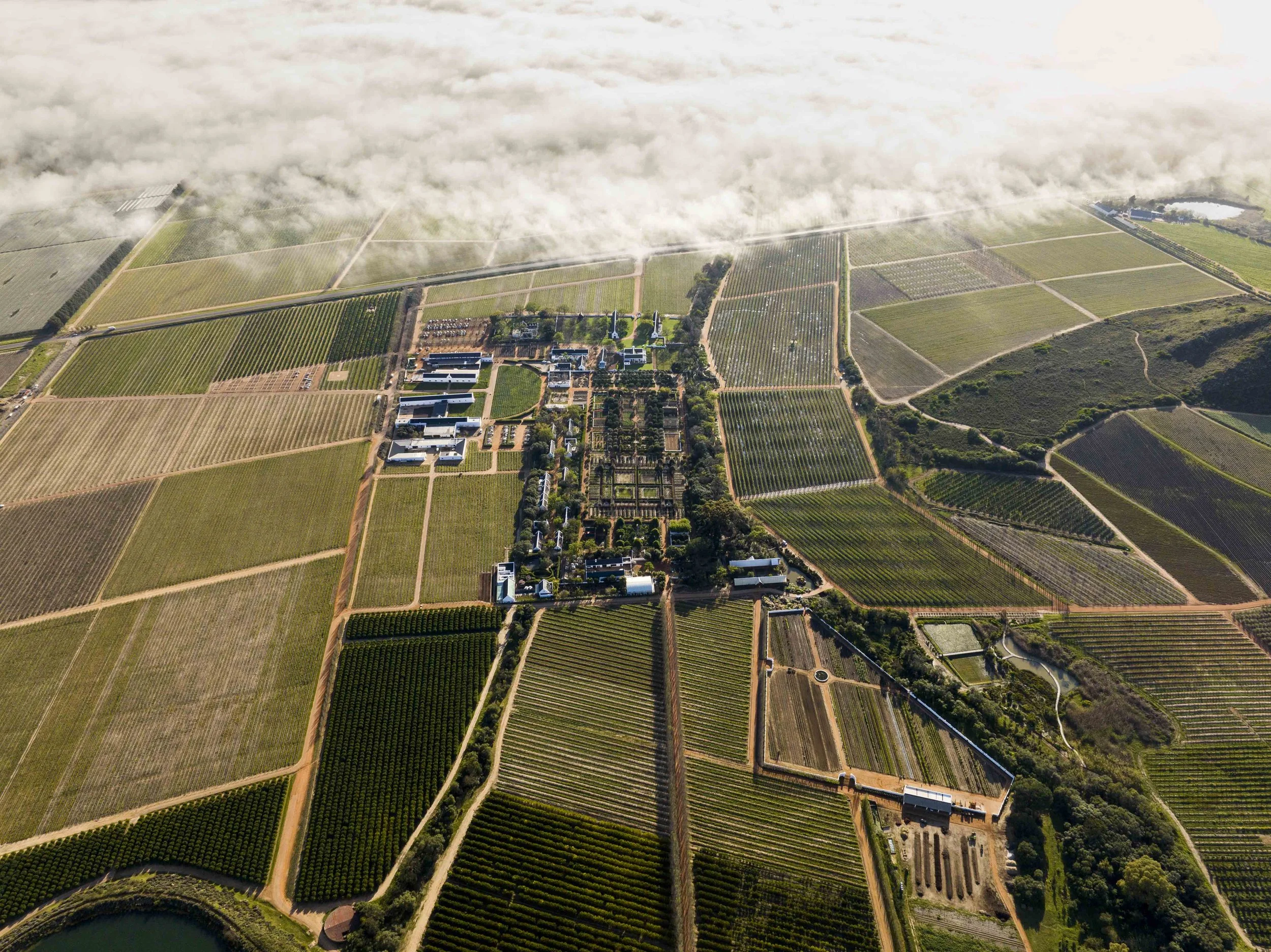 South Africa Hotel | Wine Hotel | Farm to table Hotel | Landscape Hotel | Babel Restaurant | Nature Hotel | eco hotel | Babylonstoren