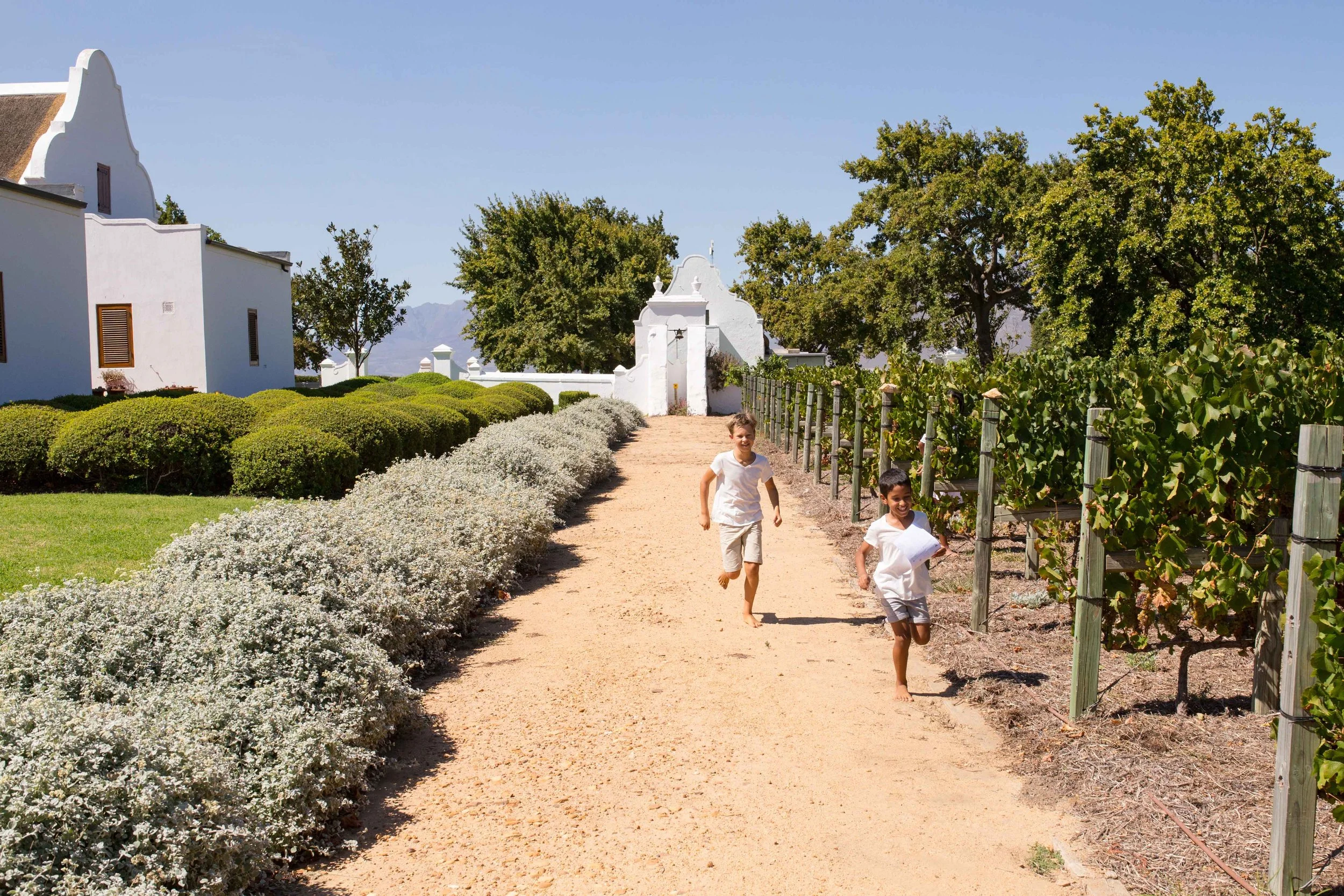 South Africa Hotel | Wine Hotel | Farm to table Hotel | Landscape Hotel | Babel Restaurant | Nature Hotel | eco hotel | Babylonstoren