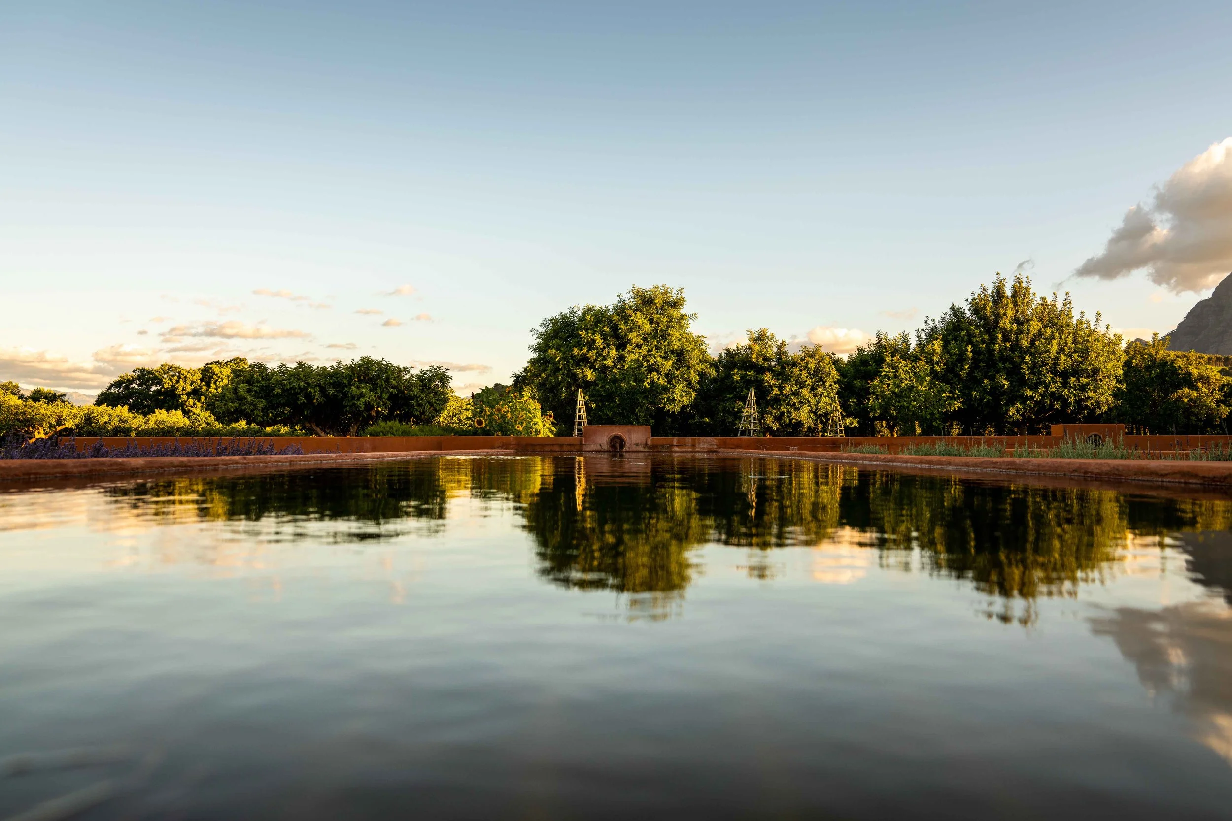 South Africa Hotel | Wine Hotel | Farm to table Hotel | Landscape Hotel | Babel Restaurant | Nature Hotel | eco hotel | Babylonstoren