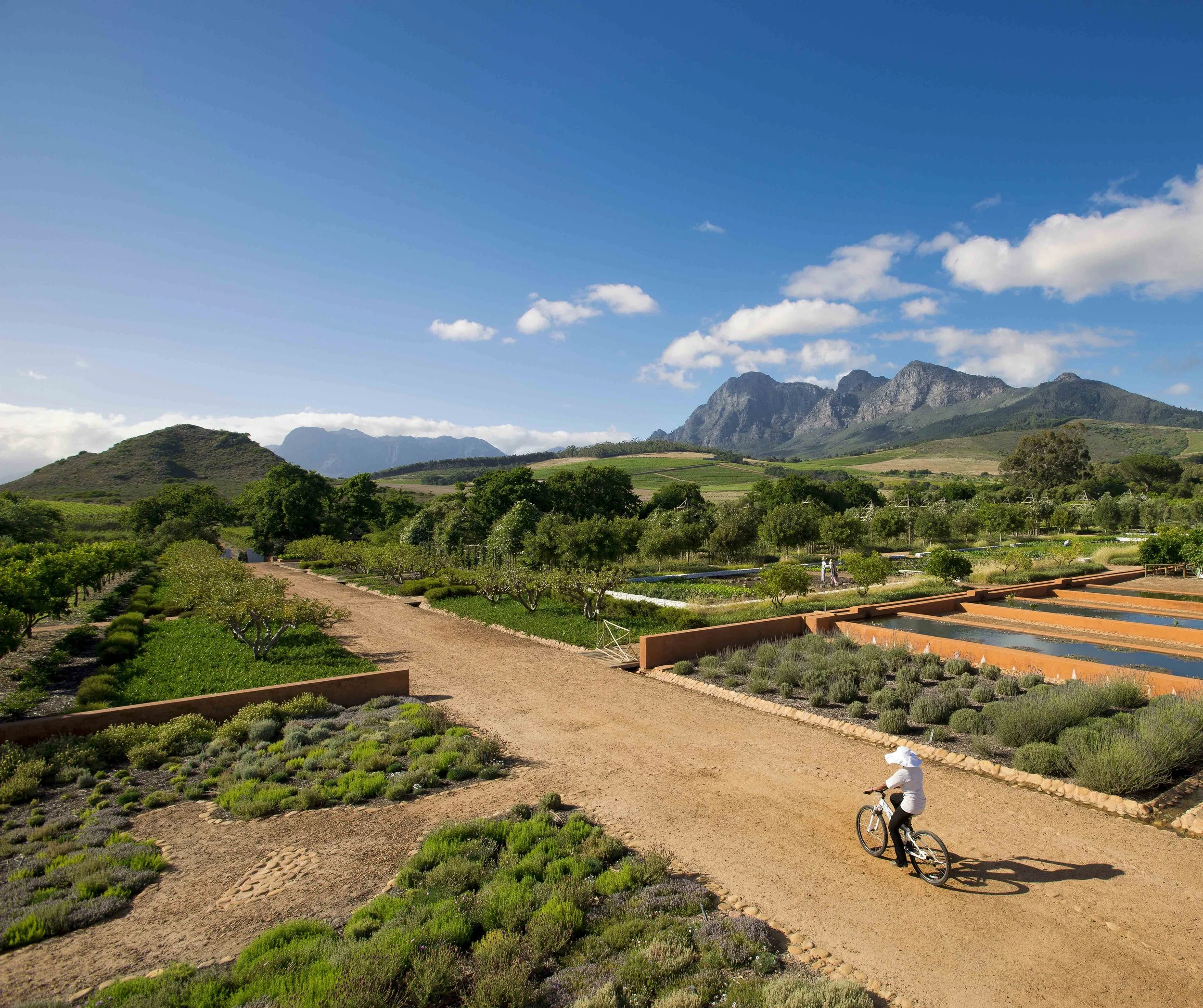South Africa Hotel | Wine Hotel | Farm to table Hotel | Landscape Hotel | Babel Restaurant | Nature Hotel | eco hotel | Babylonstoren