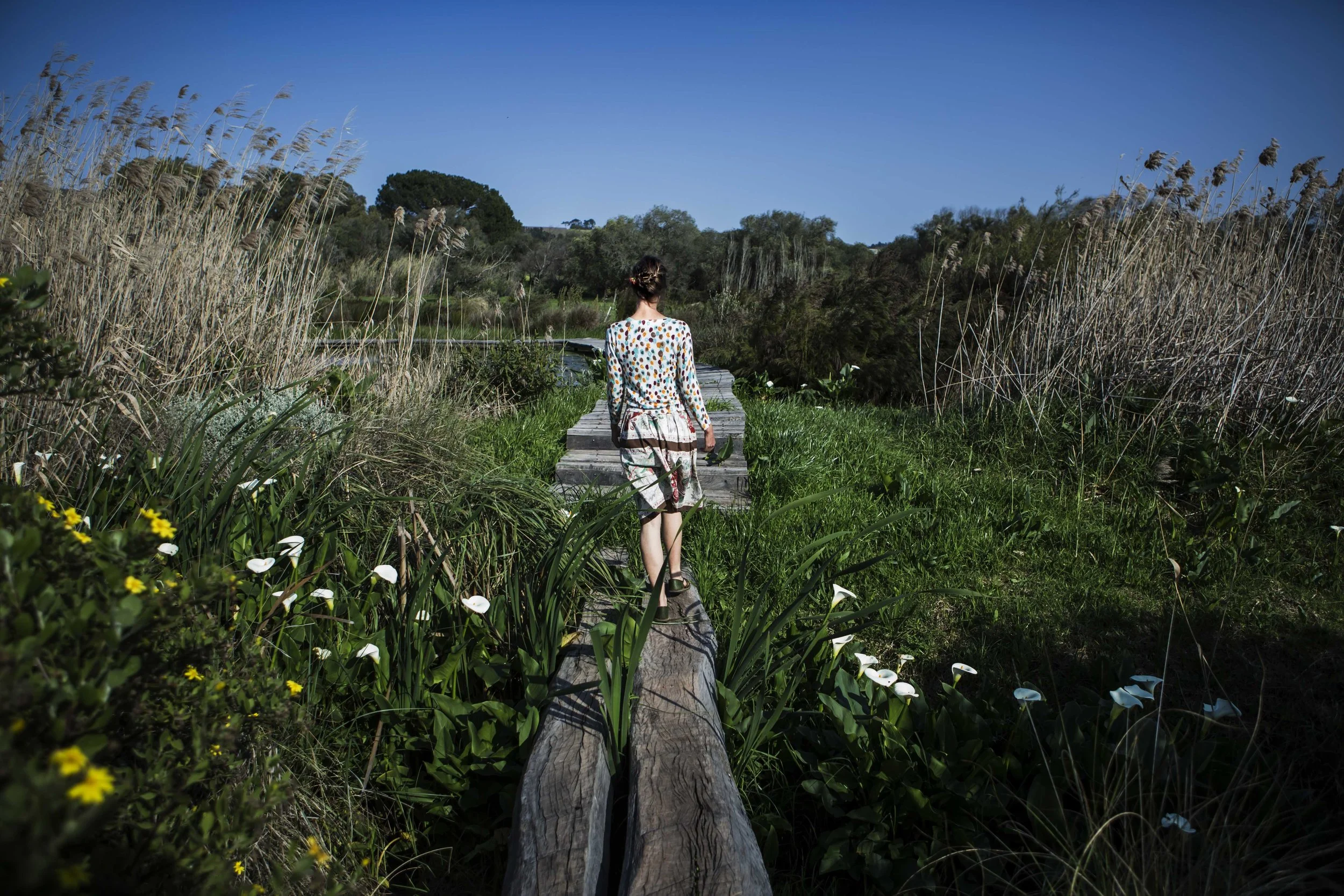 South Africa Hotel | Wine Hotel | Farm to table Hotel | Landscape Hotel | Babel Restaurant | Nature Hotel | eco hotel | Babylonstoren