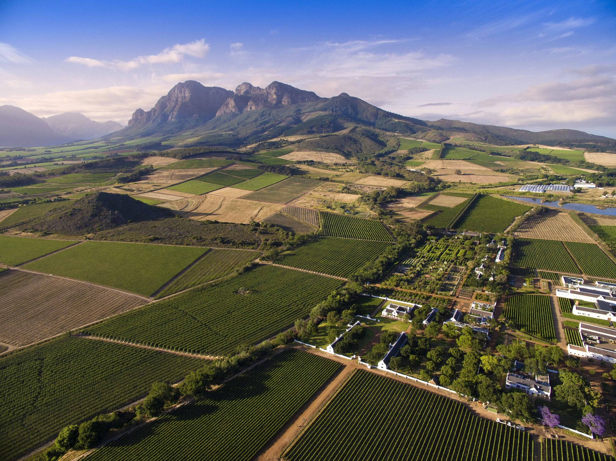 South Africa Hotel | Wine Hotel | Farm to table Hotel | Landscape Hotel | Babel Restaurant | Nature Hotel | eco hotel | Babylonstoren