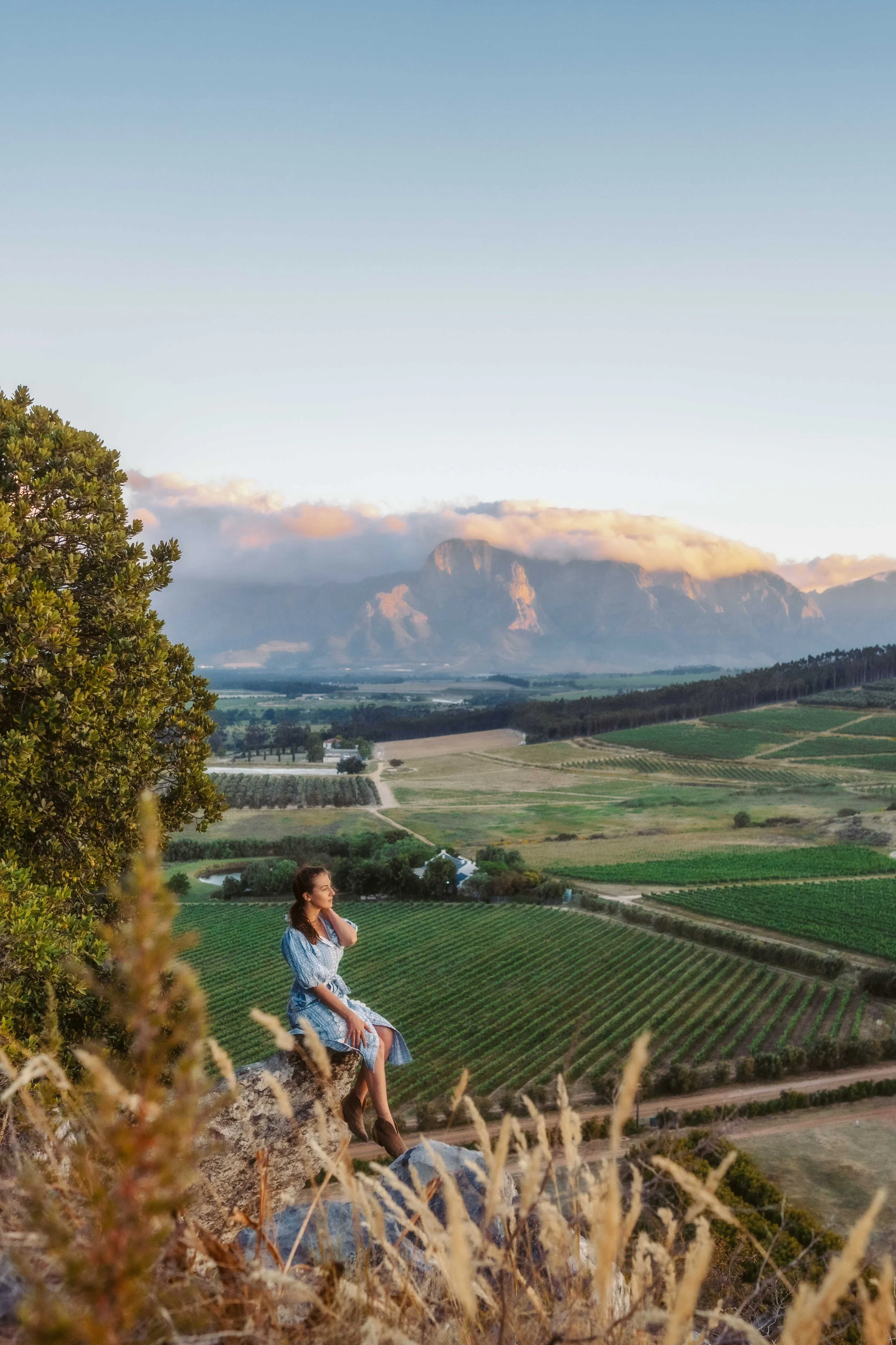 South Africa Hotel | Wine Hotel | Farm to table Hotel | Landscape Hotel | Babel Restaurant | Nature Hotel | eco hotel | Babylonstoren