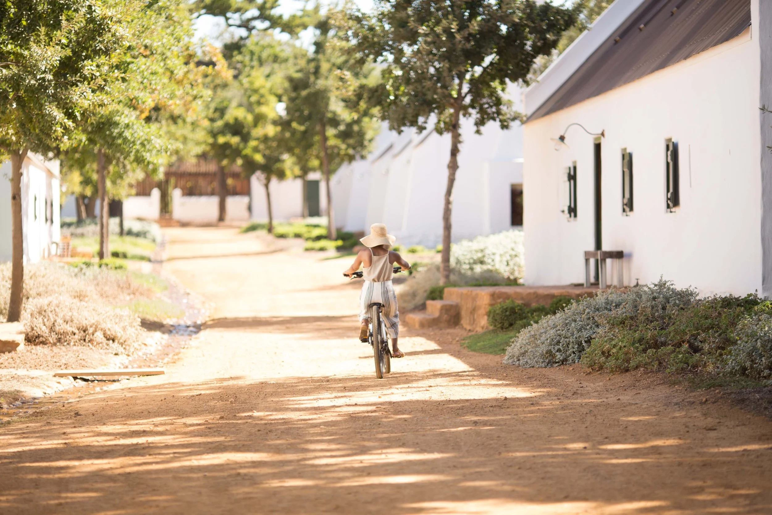 South Africa Hotel | Wine Hotel | Farm to table Hotel | Landscape Hotel | Babel Restaurant | Nature Hotel | eco hotel | Babylonstoren