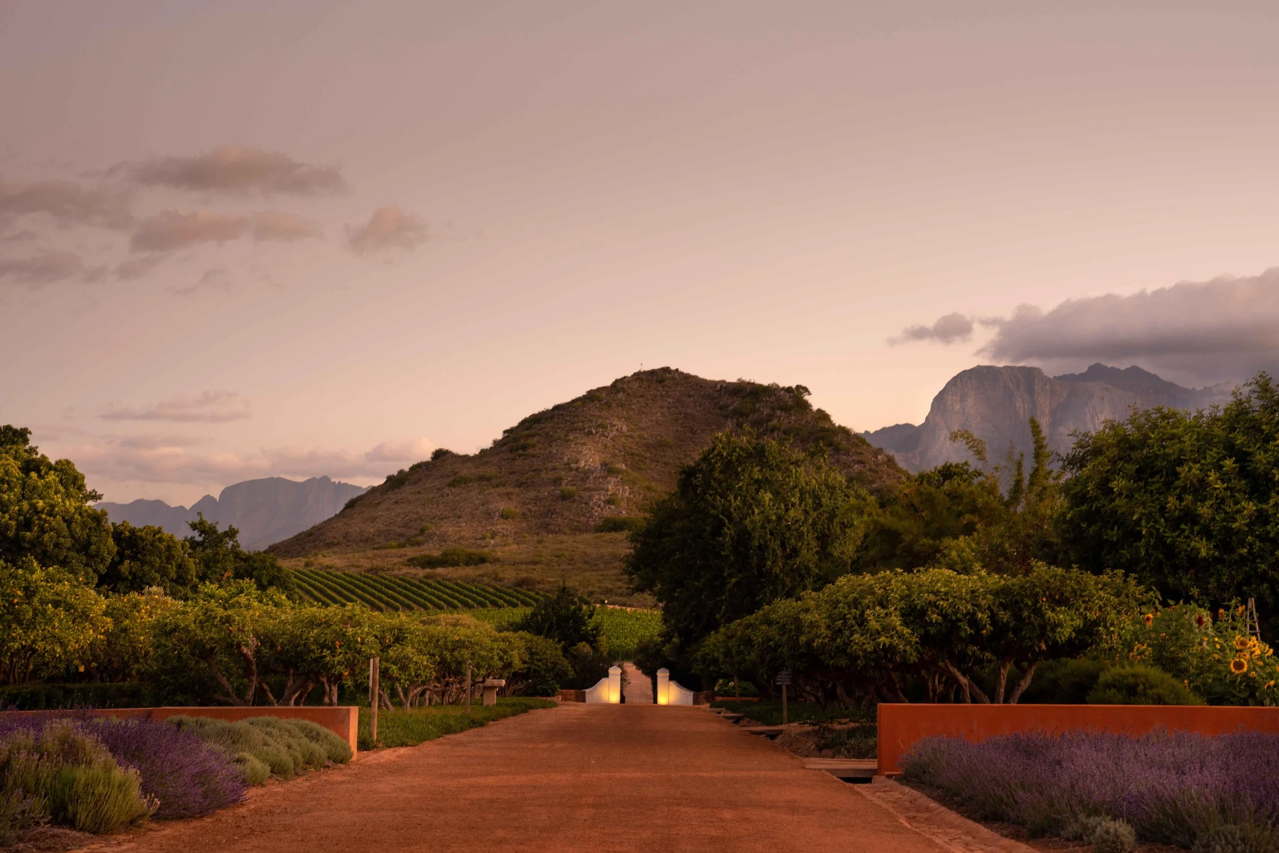 South Africa Hotel | Wine Hotel | Farm to table Hotel | Landscape Hotel | Babel Restaurant | Nature Hotel | eco hotel | Babylonstoren