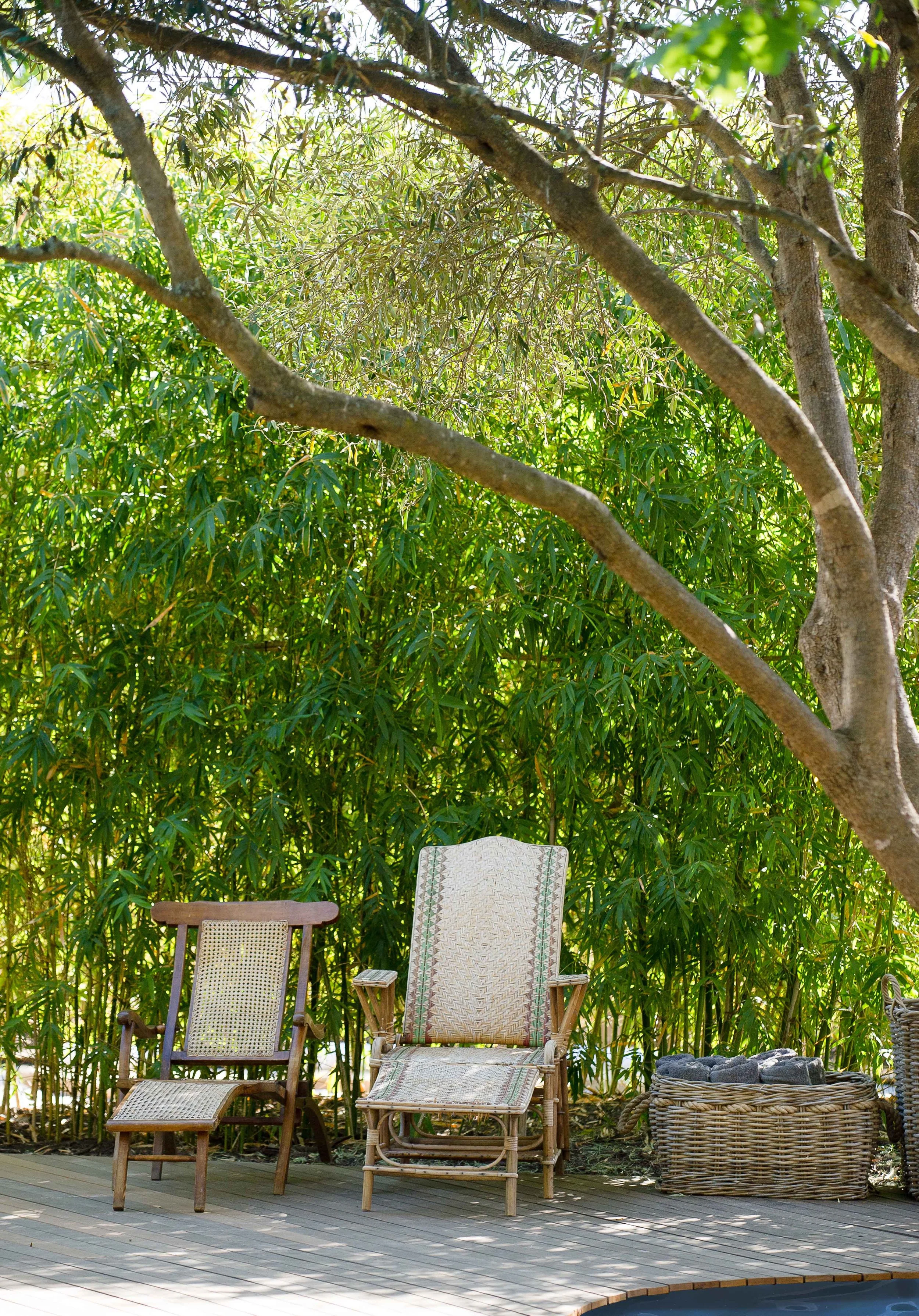 South Africa Hotel | Wine Hotel | Farm to table Hotel | Landscape Hotel | Babel Restaurant | Nature Hotel | eco hotel | Babylonstoren