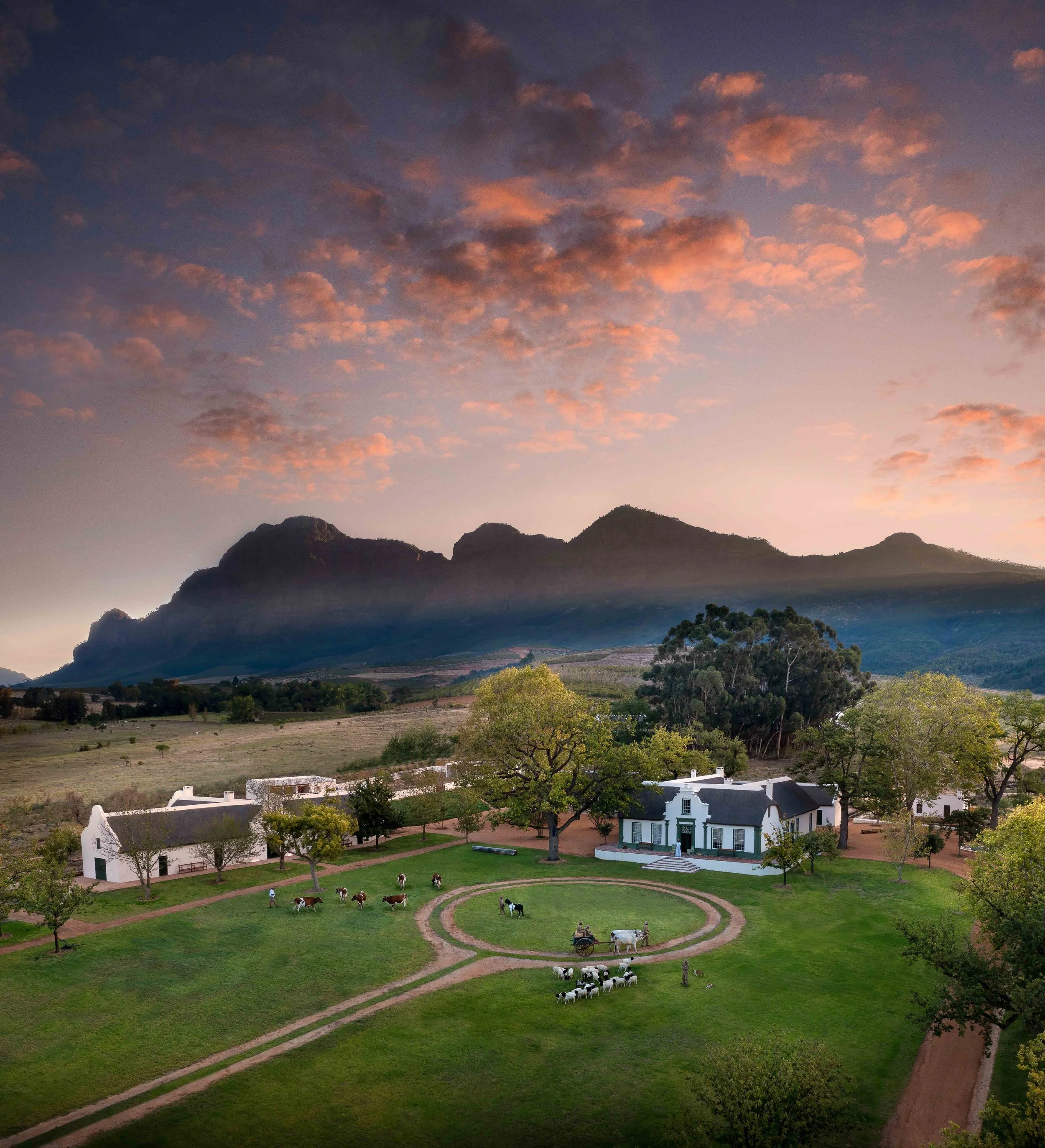 South Africa Hotel | Wine Hotel | Farm to table Hotel | Landscape Hotel | Babel Restaurant | Nature Hotel | eco hotel | Babylonstoren