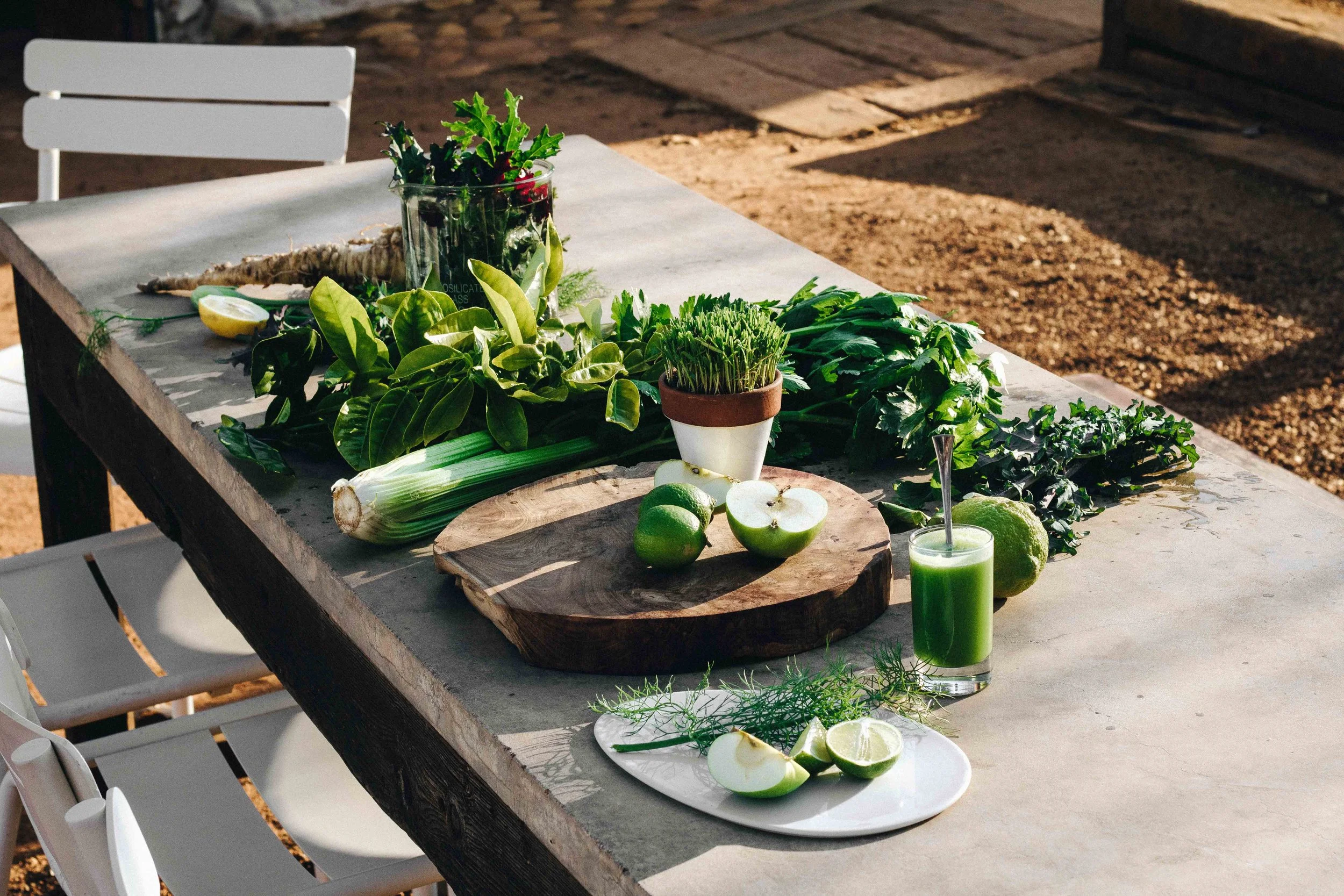 South Africa Hotel | Wine Hotel | Farm to table Hotel | Landscape Hotel | Babel Restaurant | Nature Hotel | eco hotel | Babylonstoren