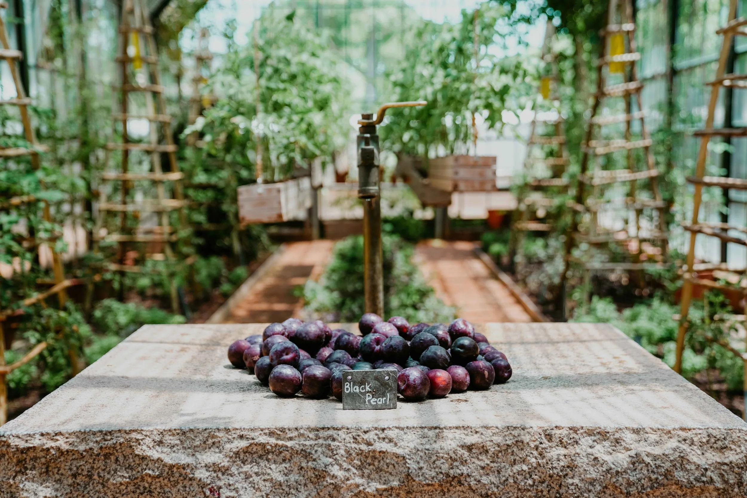 South Africa Hotel | Wine Hotel | Farm to table Hotel | Landscape Hotel | Babel Restaurant | Nature Hotel | eco hotel | Babylonstoren