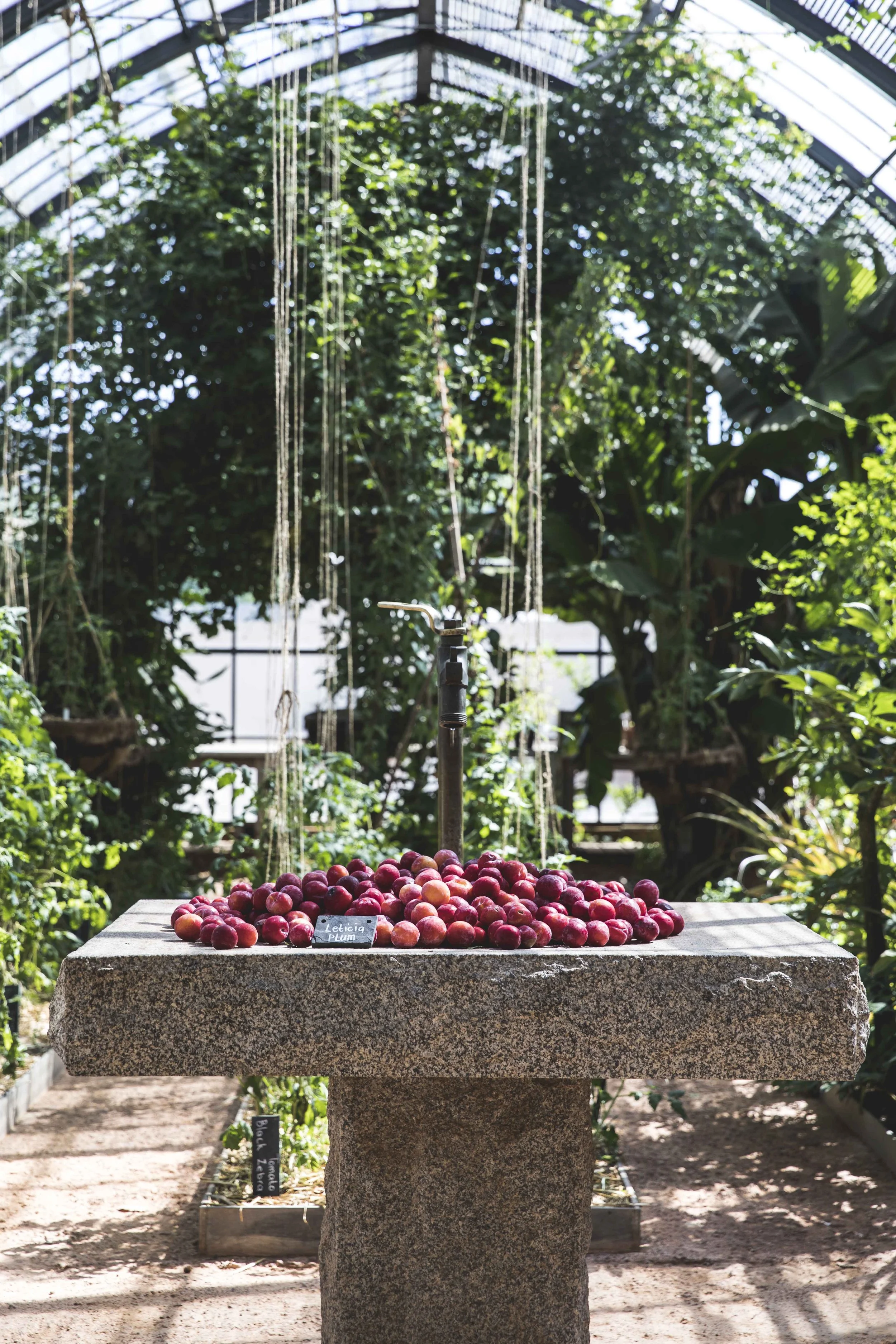 South Africa Hotel | Wine Hotel | Farm to table Hotel | Landscape Hotel | Babel Restaurant | Nature Hotel | eco hotel | Babylonstoren