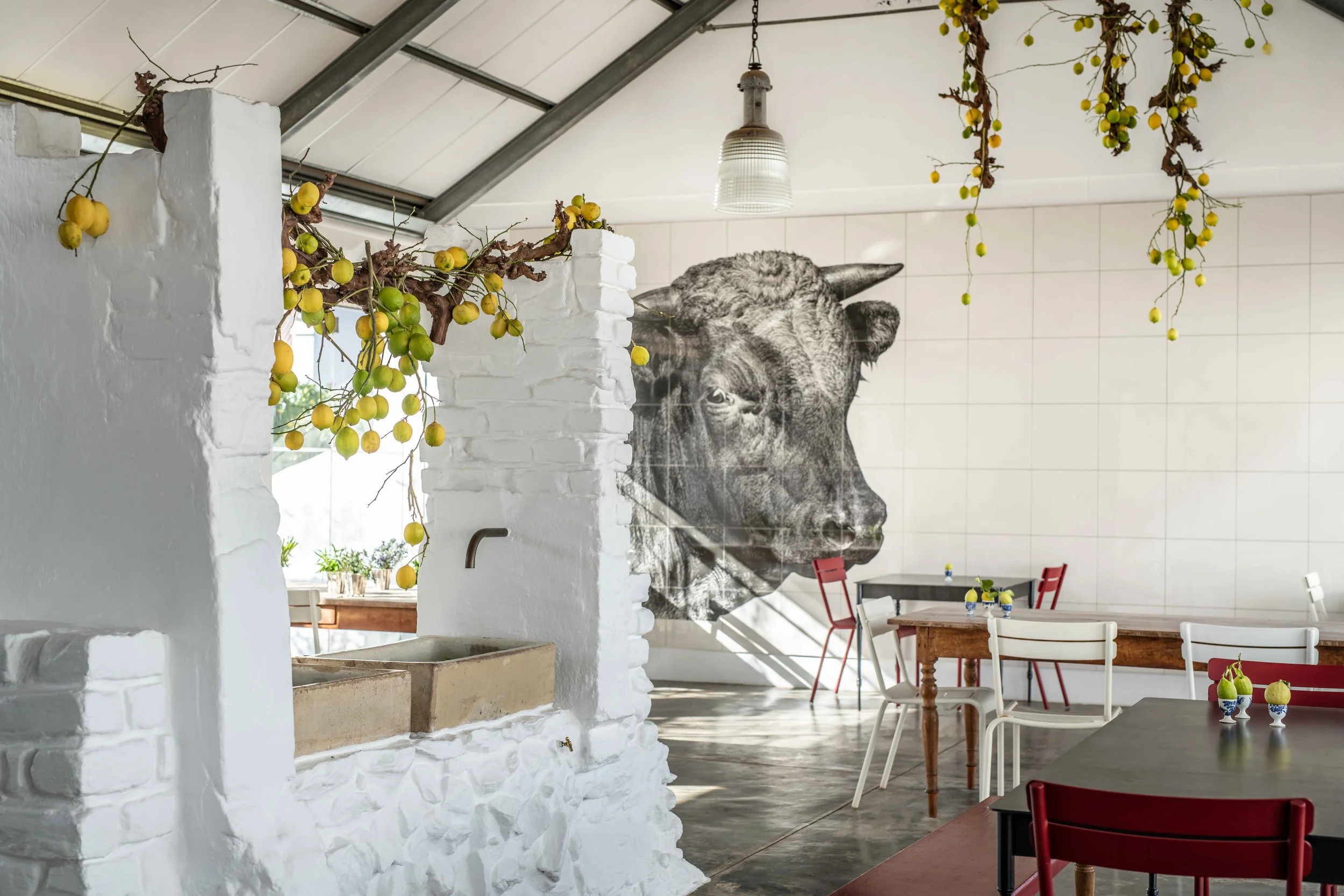 South Africa Hotel | Wine Hotel | Farm to table Hotel | Landscape Hotel | Babel Restaurant | Nature Hotel | eco hotel | Babylonstoren