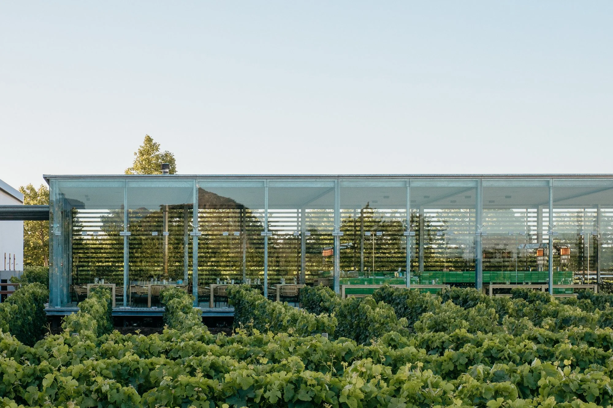 South Africa Hotel | Wine Hotel | Farm to table Hotel | Landscape Hotel | Babel Restaurant | Nature Hotel | eco hotel | Babylonstoren