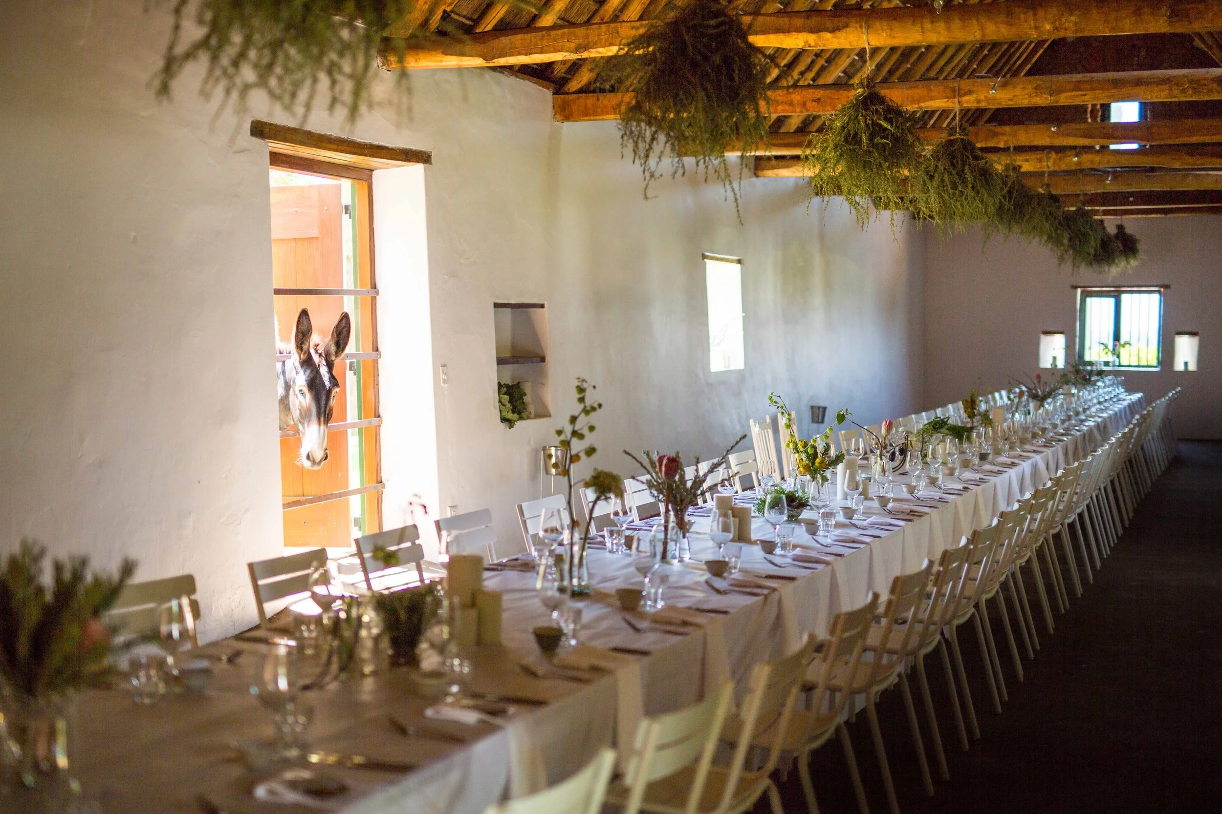 South Africa Hotel | Wine Hotel | Farm to table Hotel | Landscape Hotel | Babel Restaurant | Nature Hotel | eco hotel | Babylonstoren