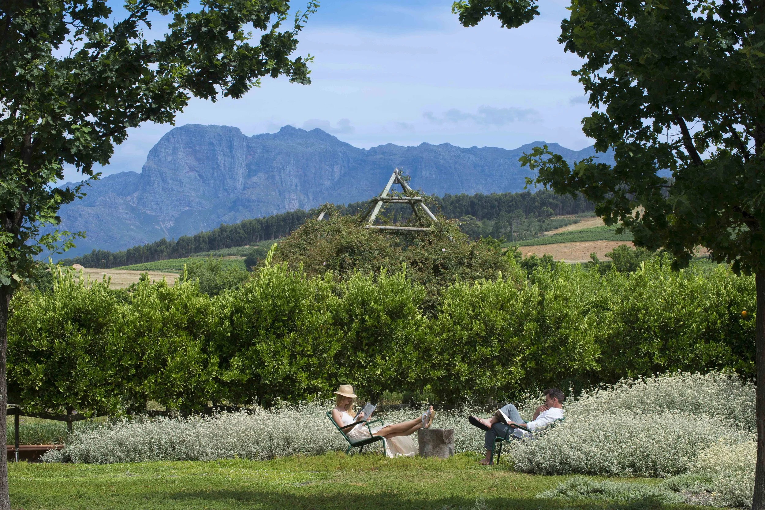 South Africa Hotel | Wine Hotel | Farm to table Hotel | Landscape Hotel | Babel Restaurant | Nature Hotel | eco hotel | Babylonstoren