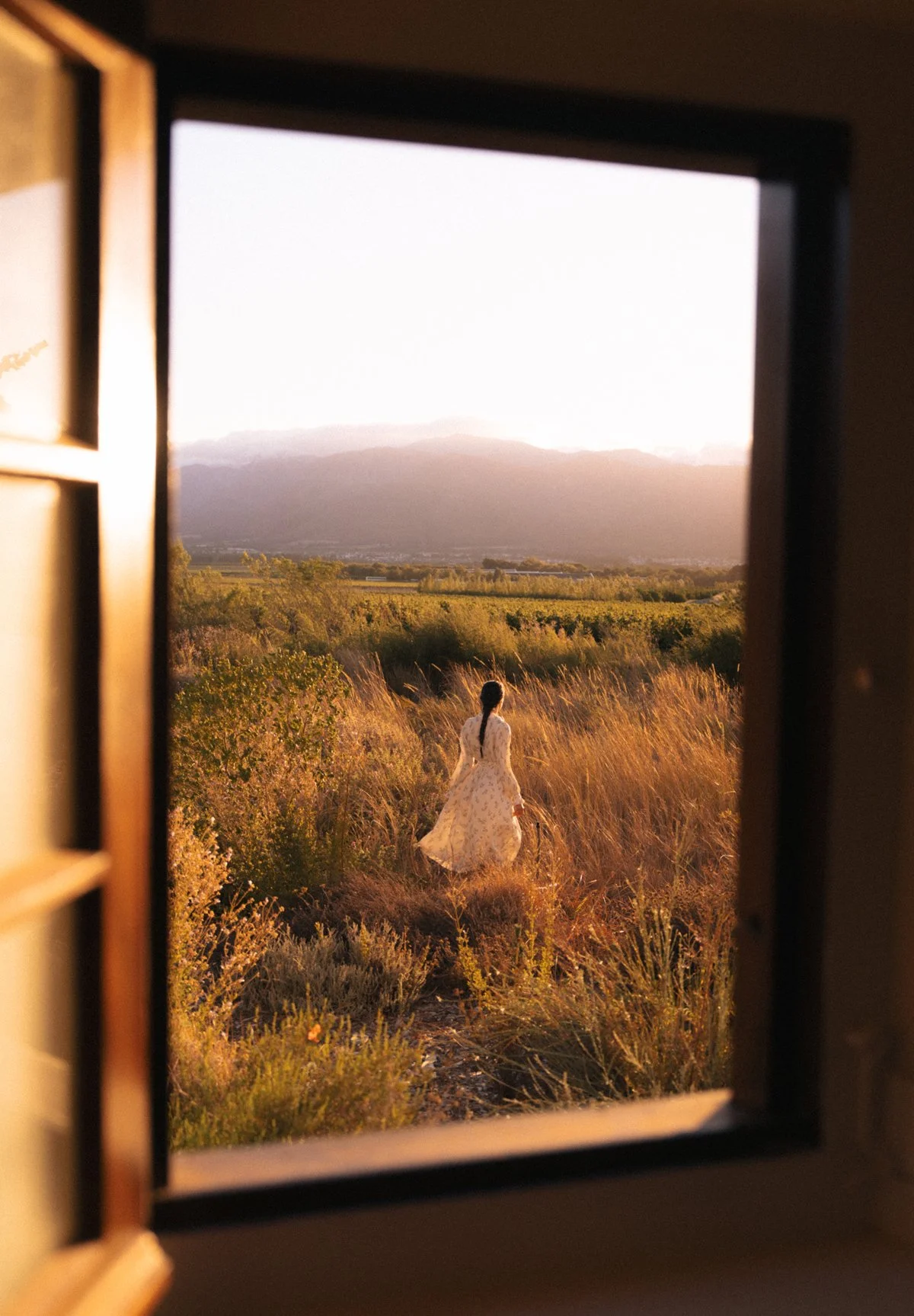 South Africa Hotel | Wine Hotel | Farm to table Hotel | Landscape Hotel | Babel Restaurant | Nature Hotel | eco hotel | Babylonstoren
