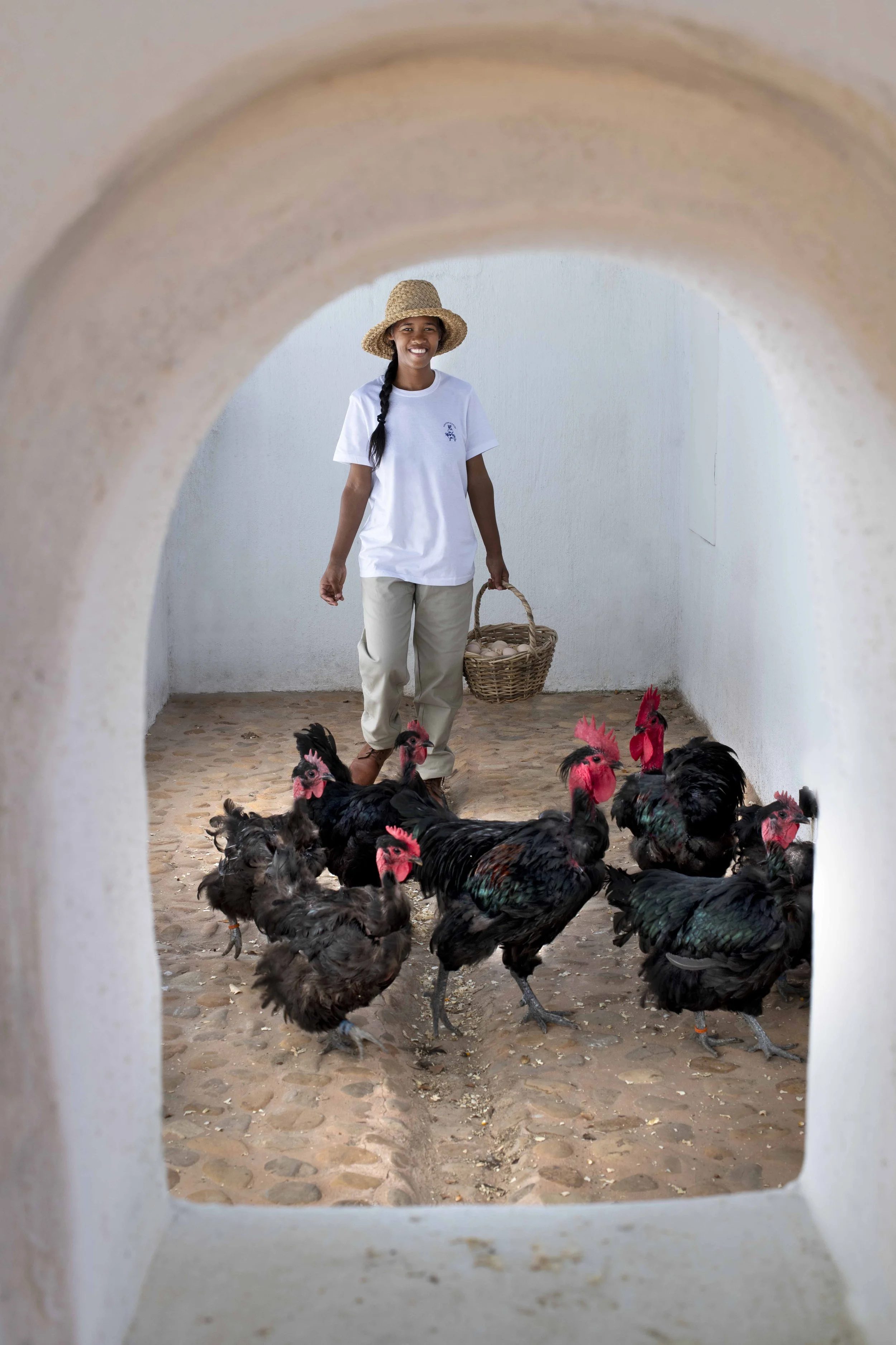 South Africa Hotel | Wine Hotel | Farm to table Hotel | Landscape Hotel | Babel Restaurant | Nature Hotel | eco hotel | Babylonstoren