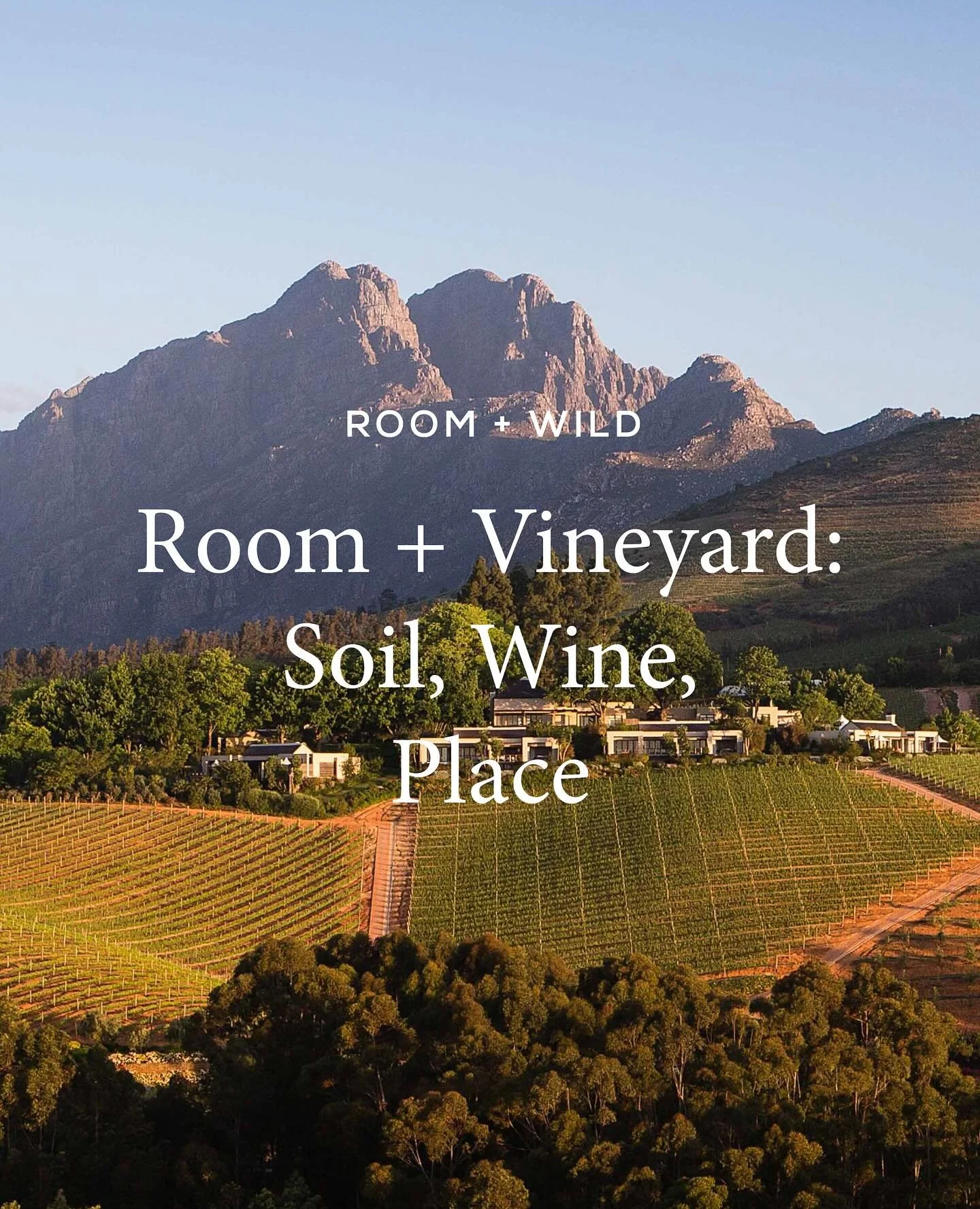 There&rsquo;s wine travel, and then there are wine hotels&mdash;places where the glass in your hand is inseparable from the land beneath your feet. Room + Vineyard is about more than tastings and tours; it&rsquo;s about waking up inside the terroir, 