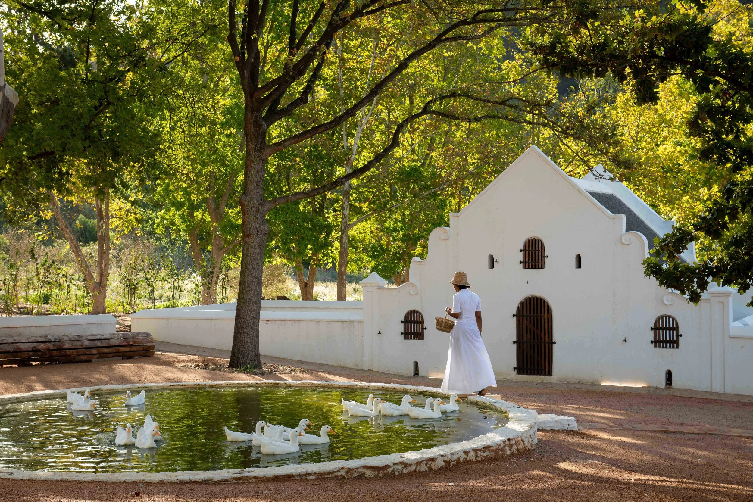 South Africa Hotel | Wine Hotel | Farm to table Hotel | Landscape Hotel | Babel Restaurant | Nature Hotel | eco hotel | Babylonstoren