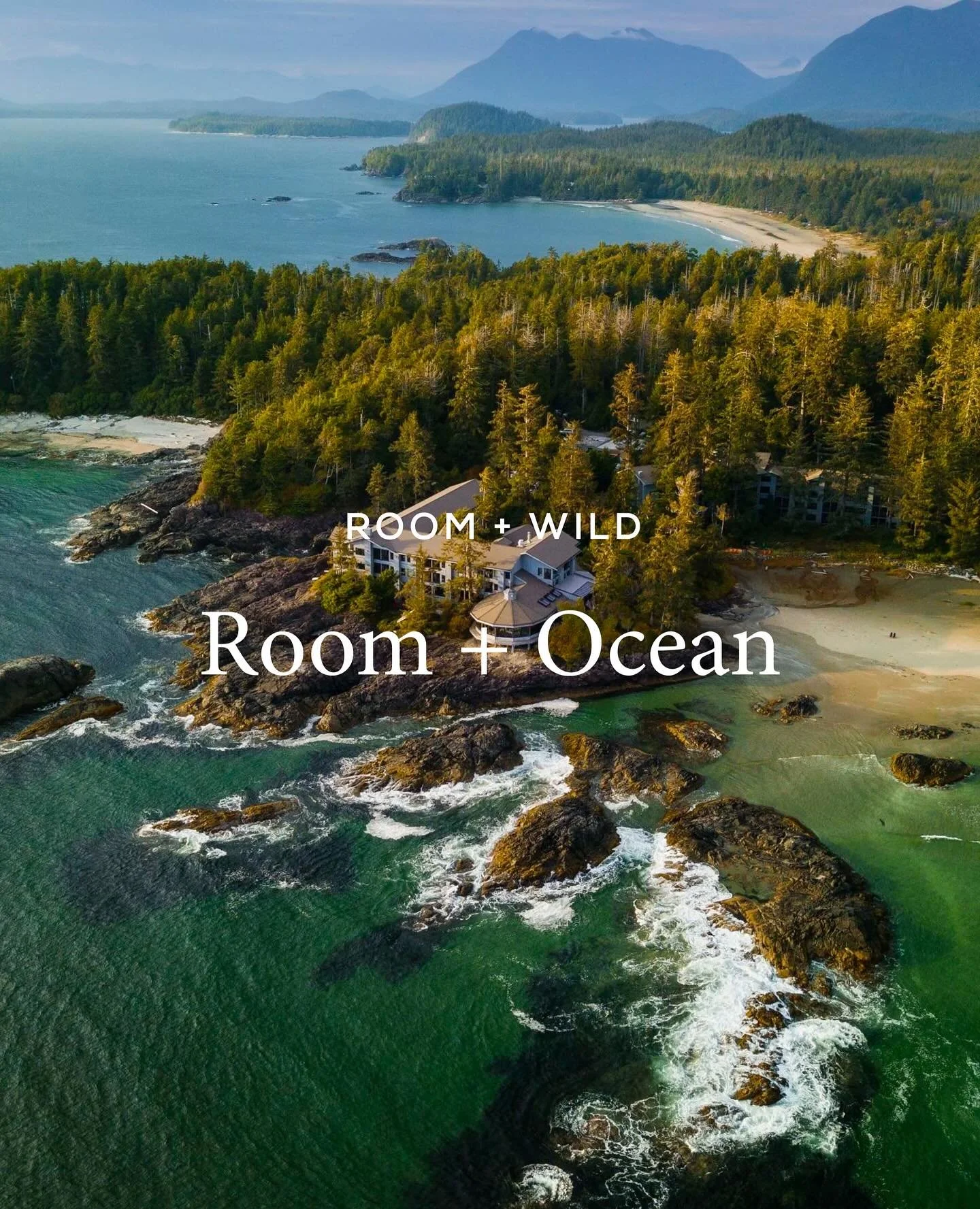 Oceans are living landscapes, vast and ever-changing, shaping weather, coastlines, and the ecosystems that call them home. They are spaces of both power and calm: currents sweep across thousands of miles, waves break against cliffs, and tides pull at