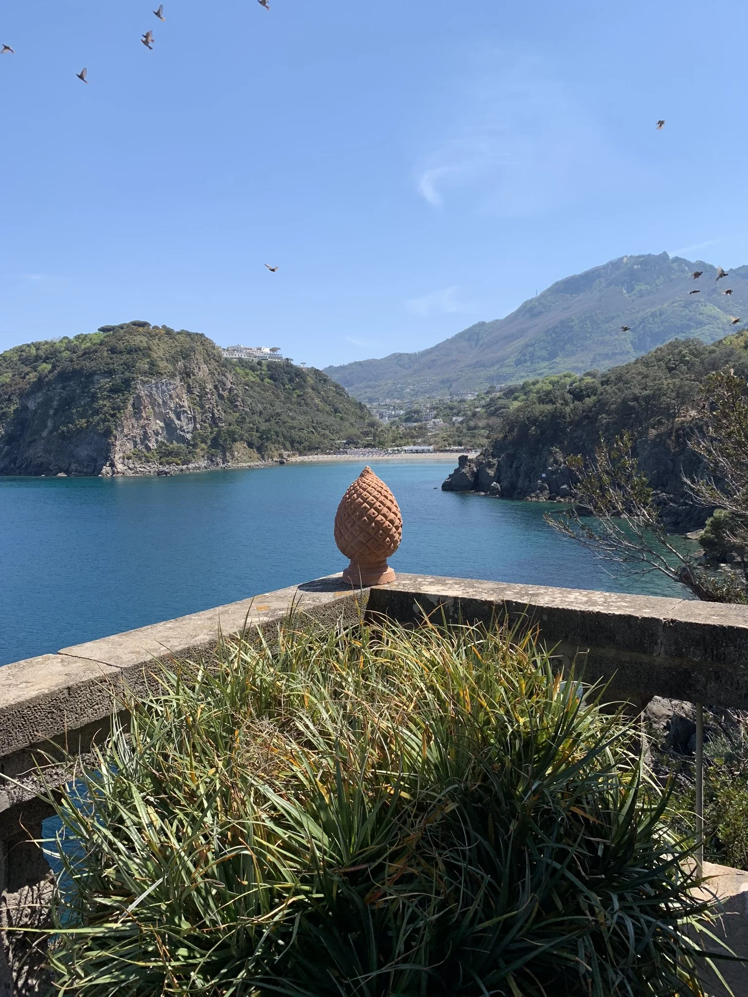 Italy wellness hotel | ischia hotel | italy luxury hotel | landscape hotel | nature hotel | Mezzatore Hotel and Thermal Spa