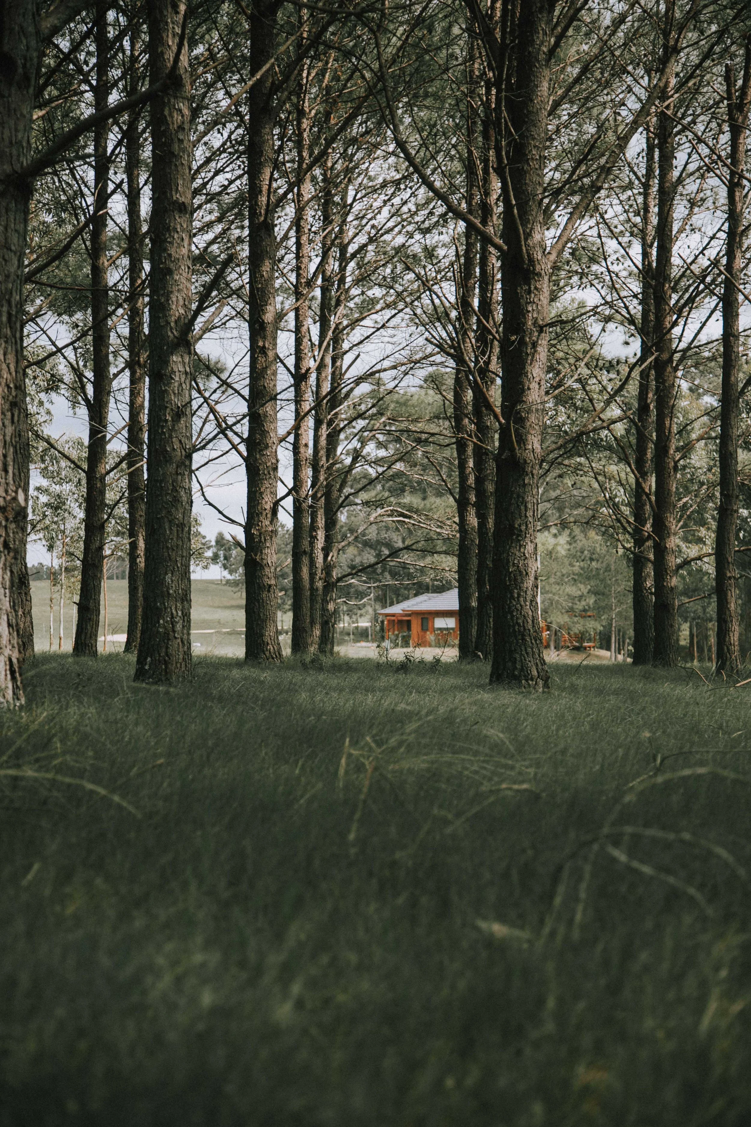Eco travel | eco hotel | luxury hotel Uruguay | | wedding hotel | landscape hotel | nature hotel | nature destination | room and wild | José Ignacio hotel | Santa Cruz Polo Club | Estancia Santa Cruz